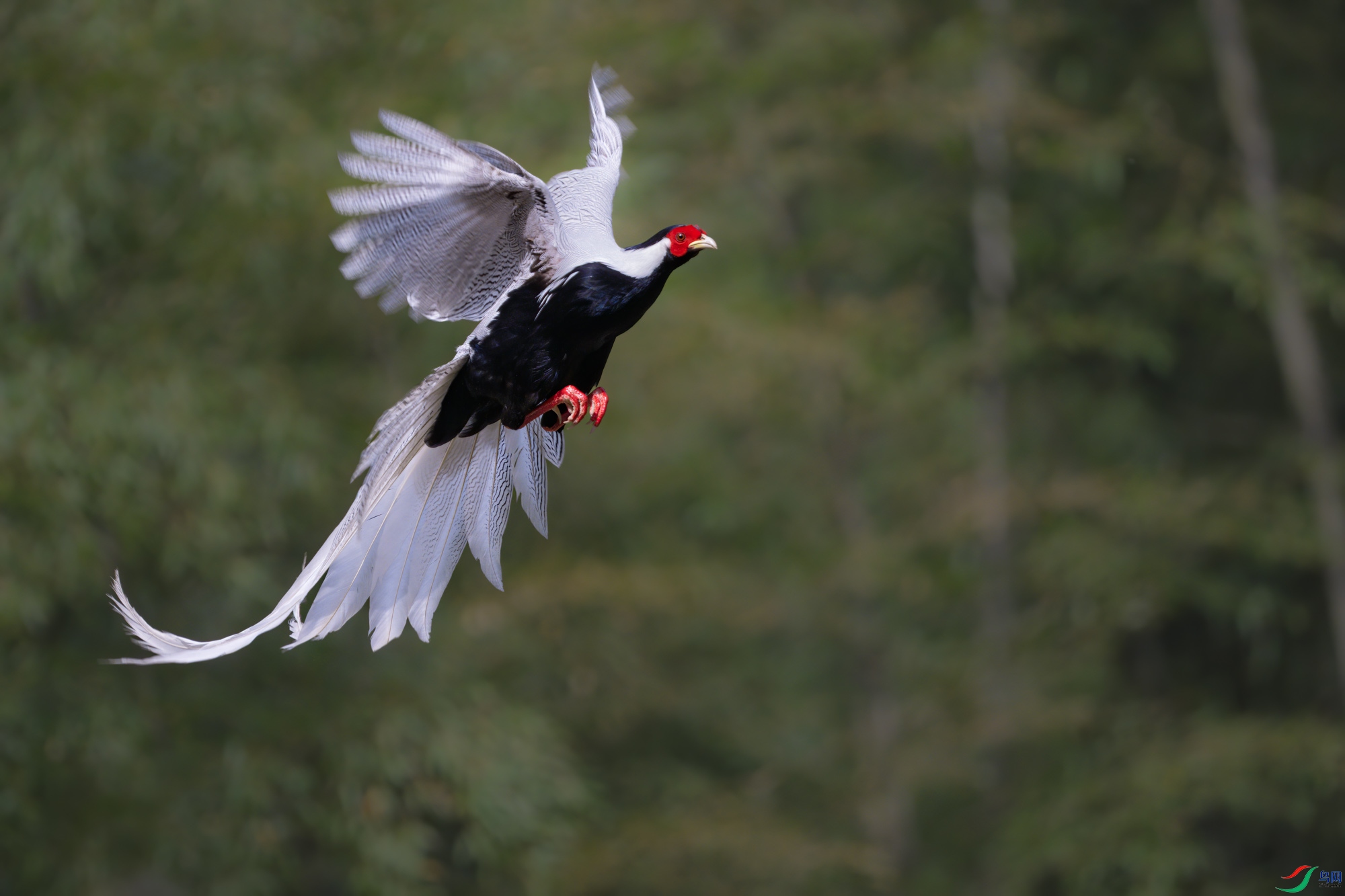 DSC_6266sen2024-2-21-42-�༭.jpg