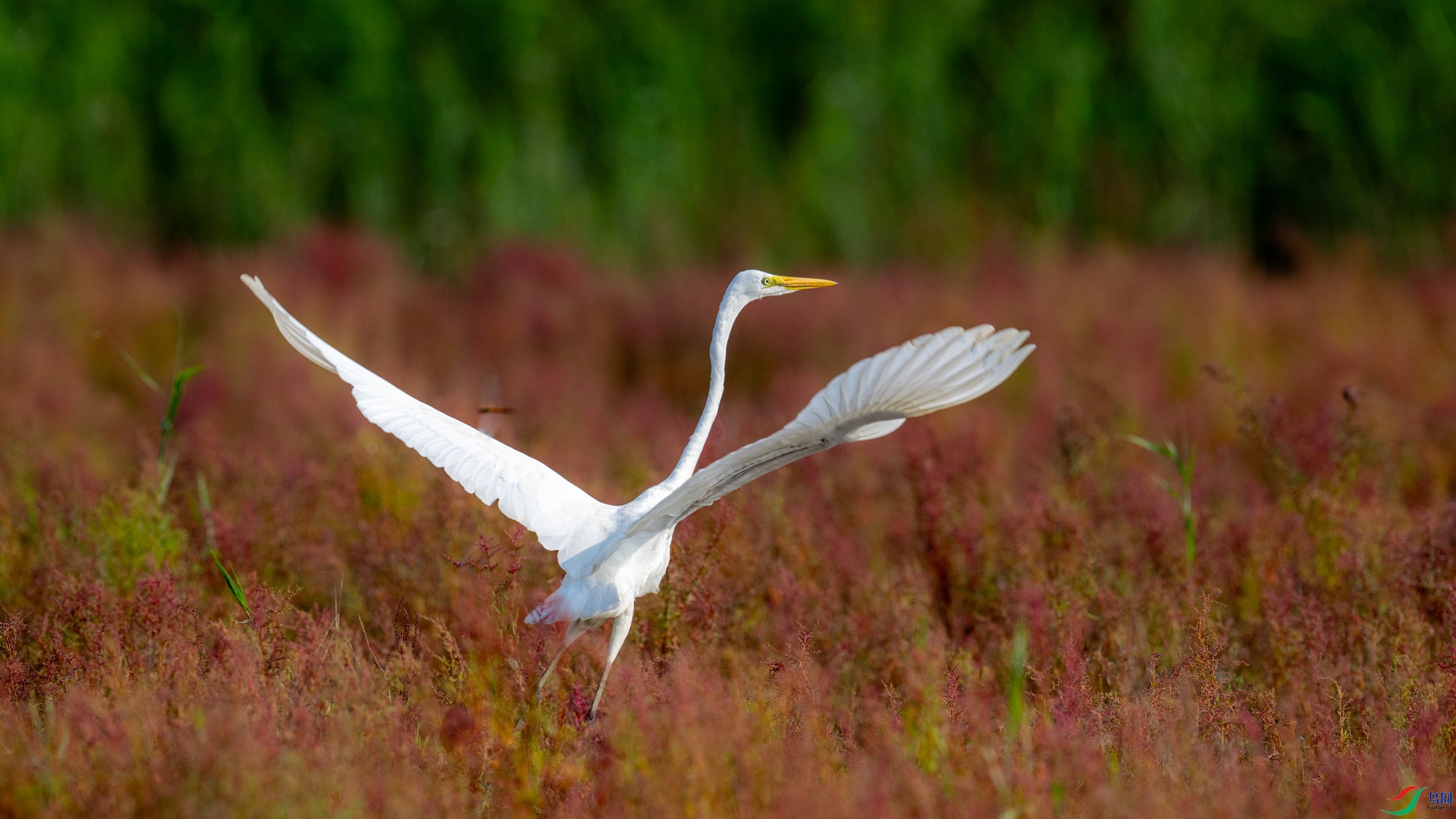 DSC_7267.jpg