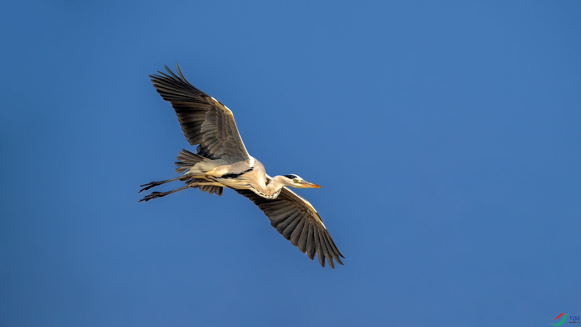 _DSC5102.jpg