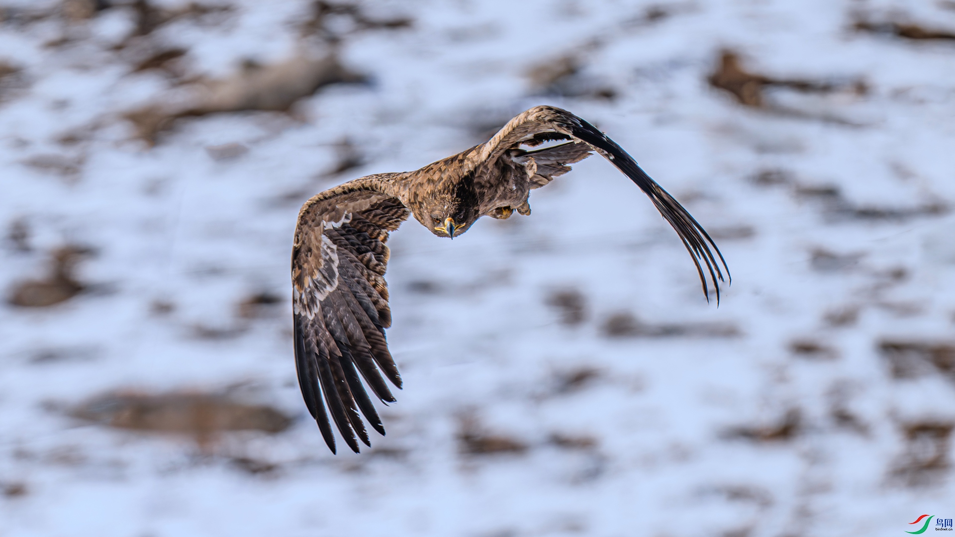 DSC_1722 ����_����.jpg