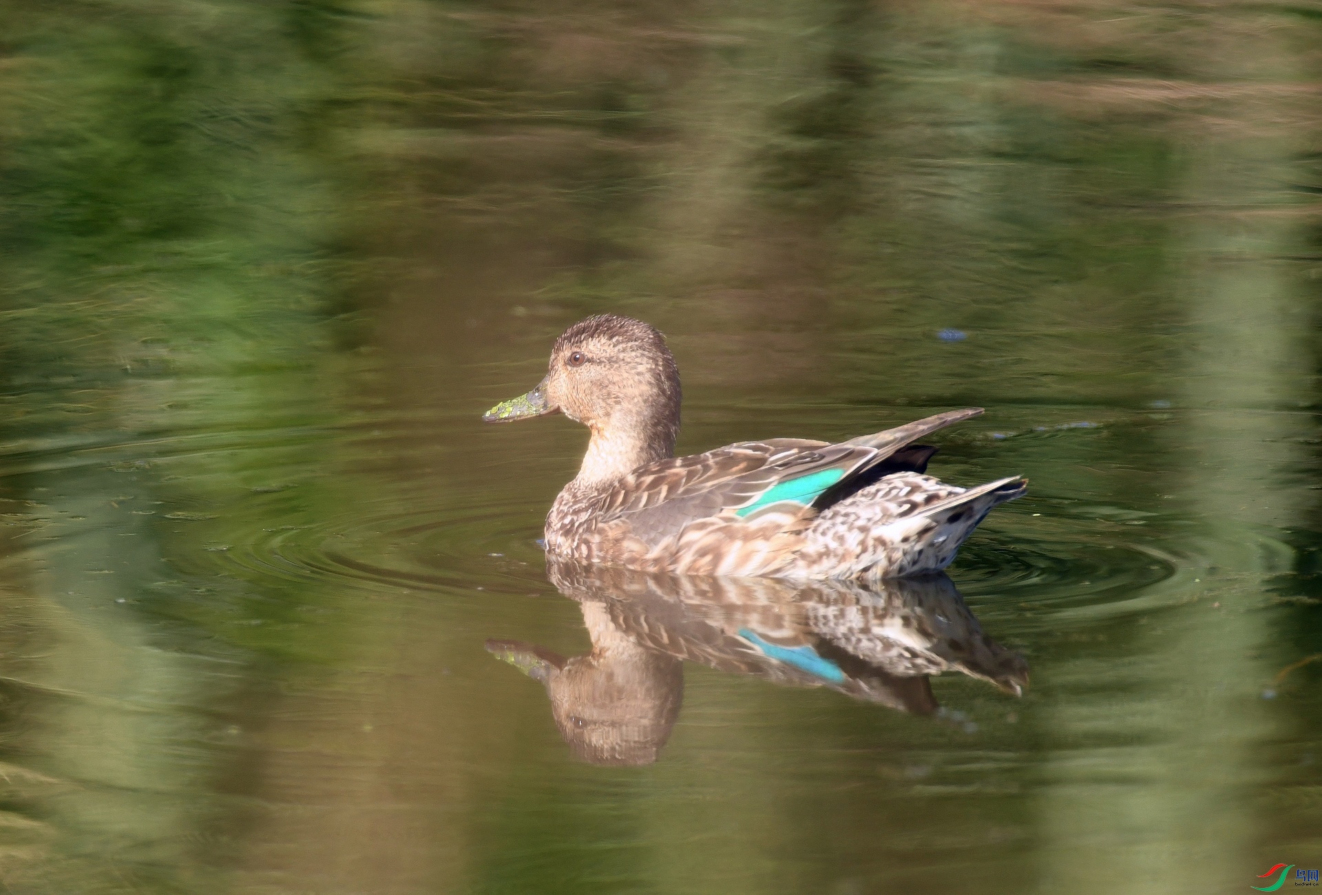 DSC_3504.jpg