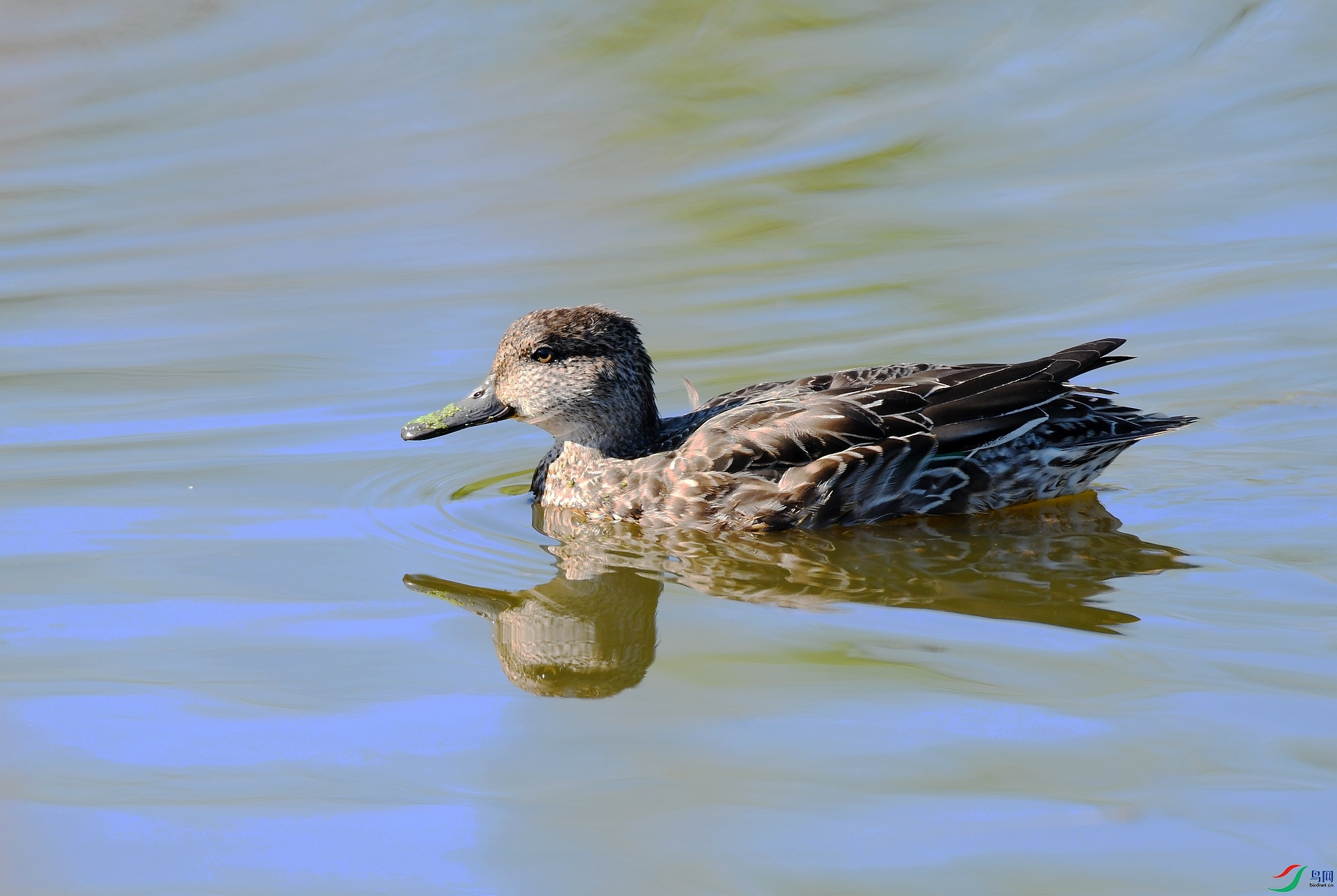 DSC_3868.jpg