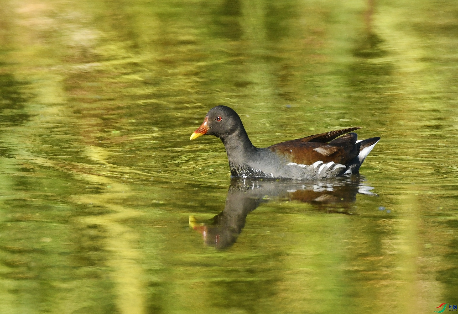 DSC_3546.jpg
