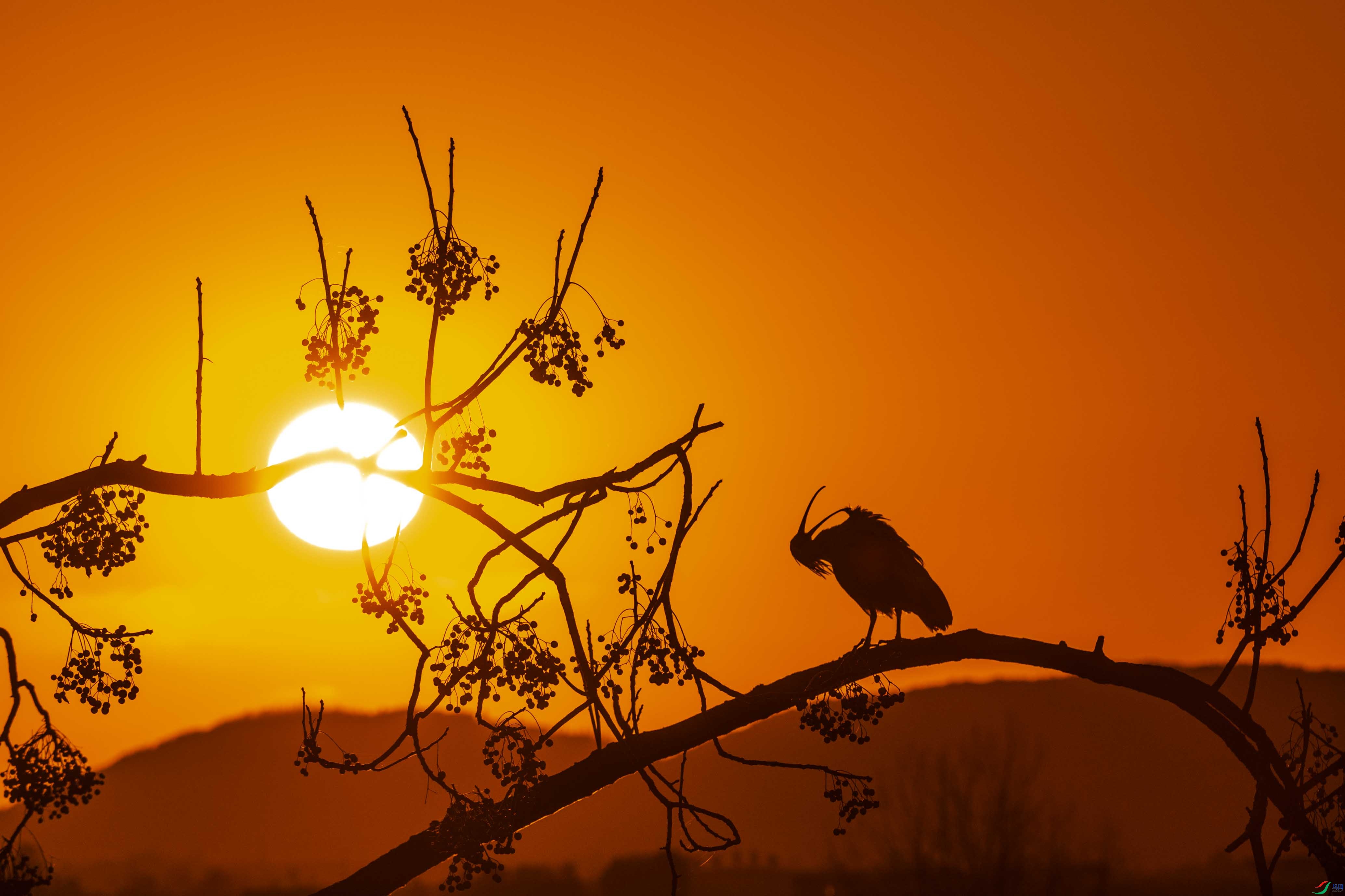 DSC_0213 ����.jpg