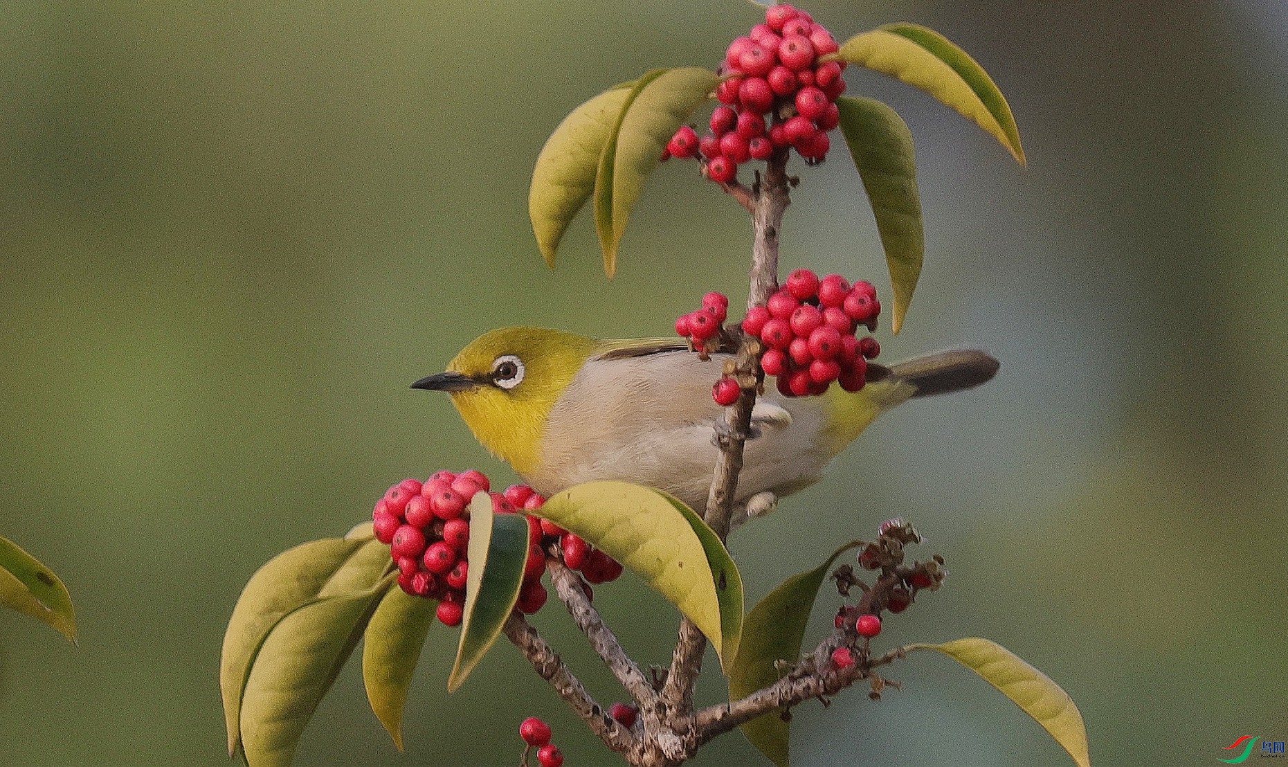 �������