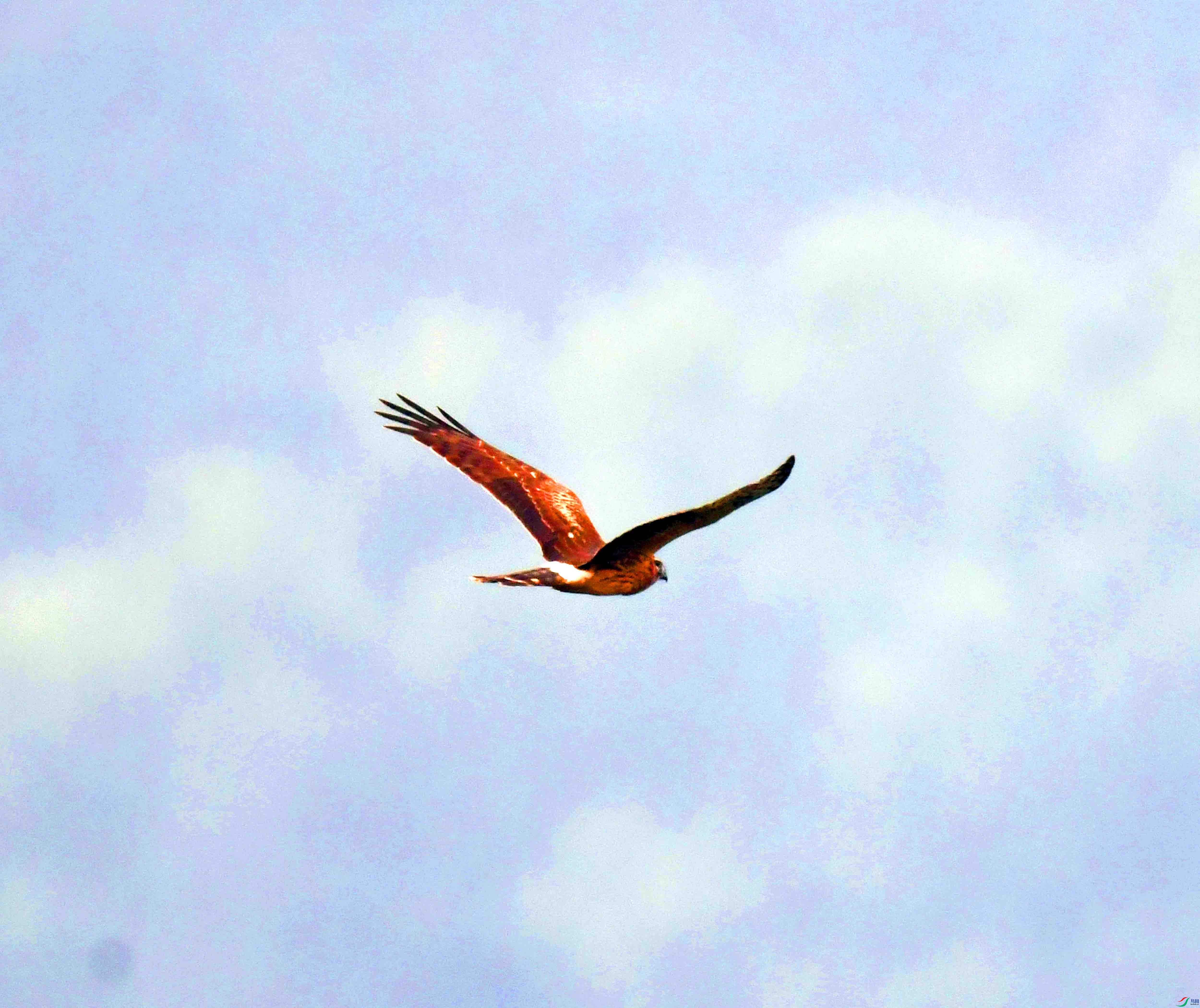 DSC_1913.JPG