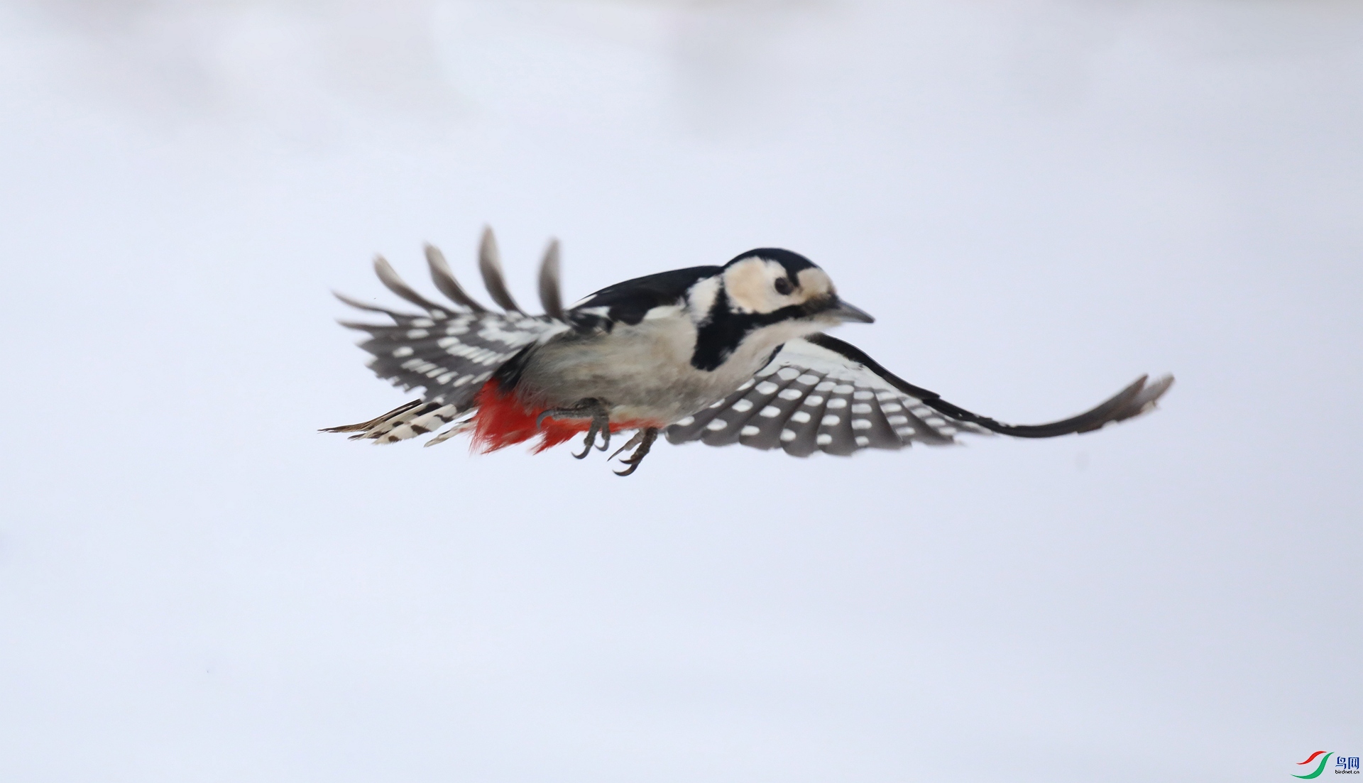 9G8A8998 ����.jpg