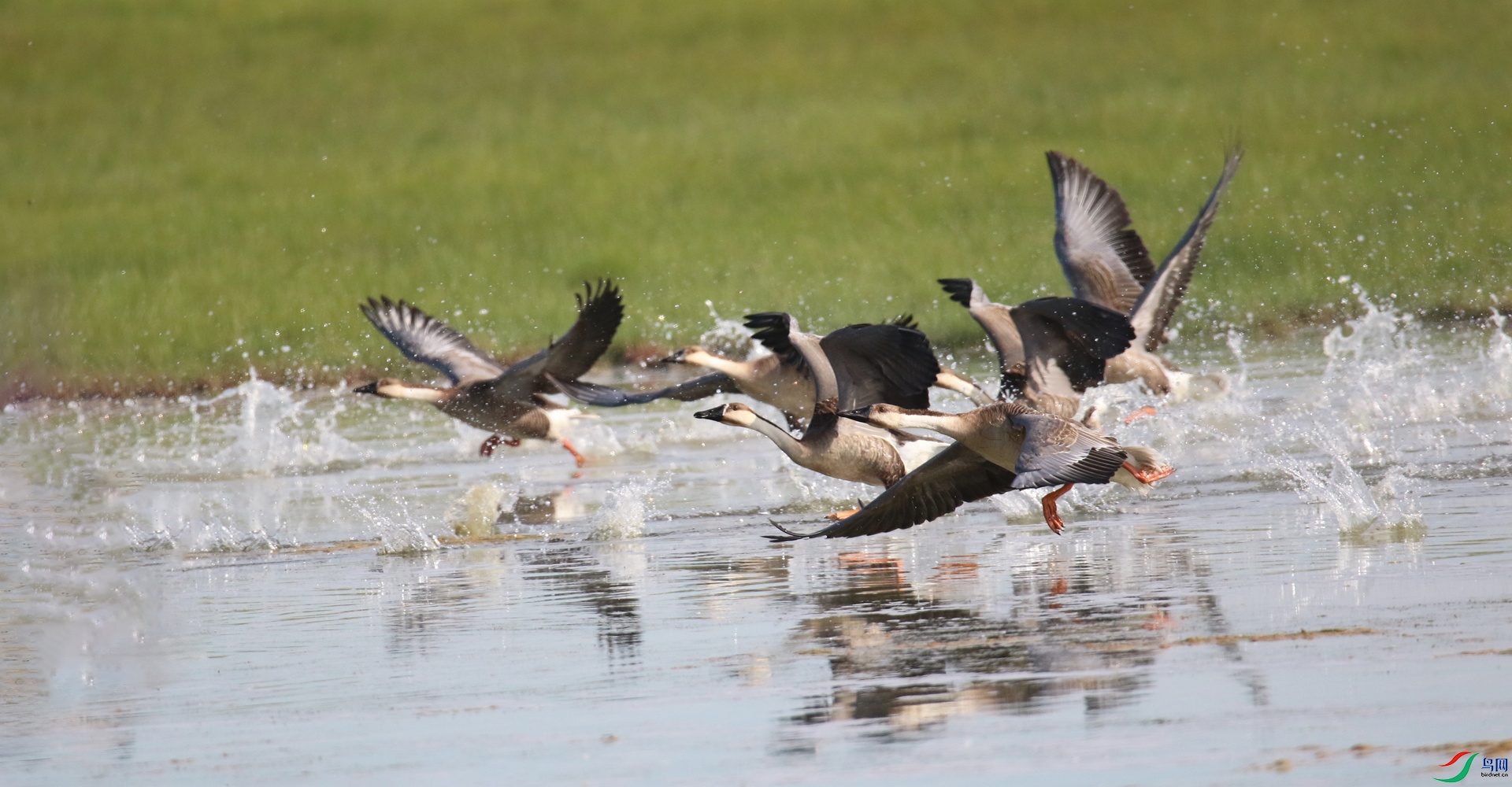 0G1A4573 ����.jpg