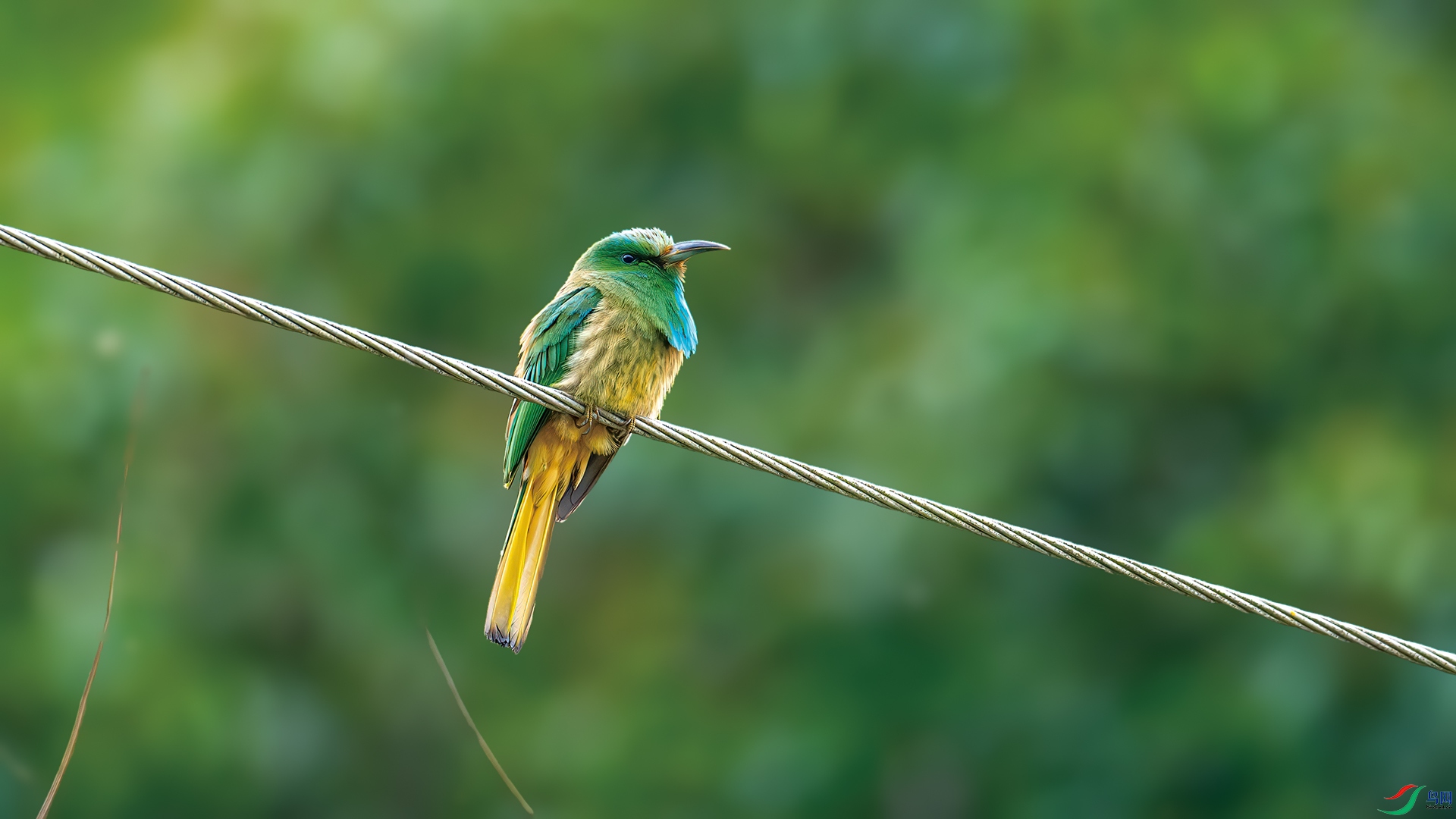 DSC_7309-����ǿ-NR.jpg