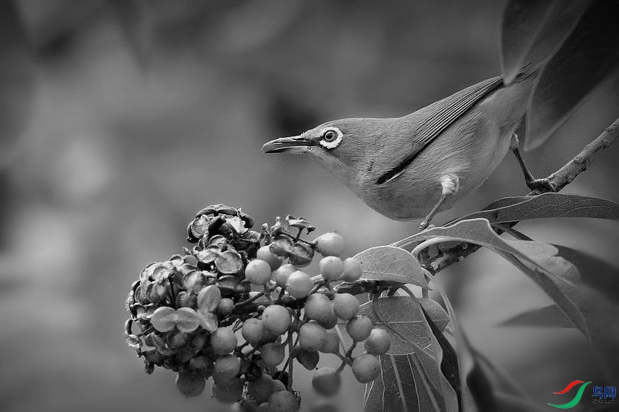DSC_5661.JPG