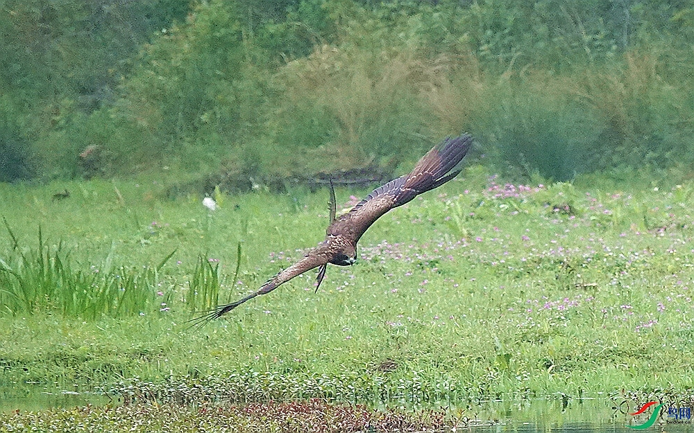 DSC04550 (2)_����.jpg