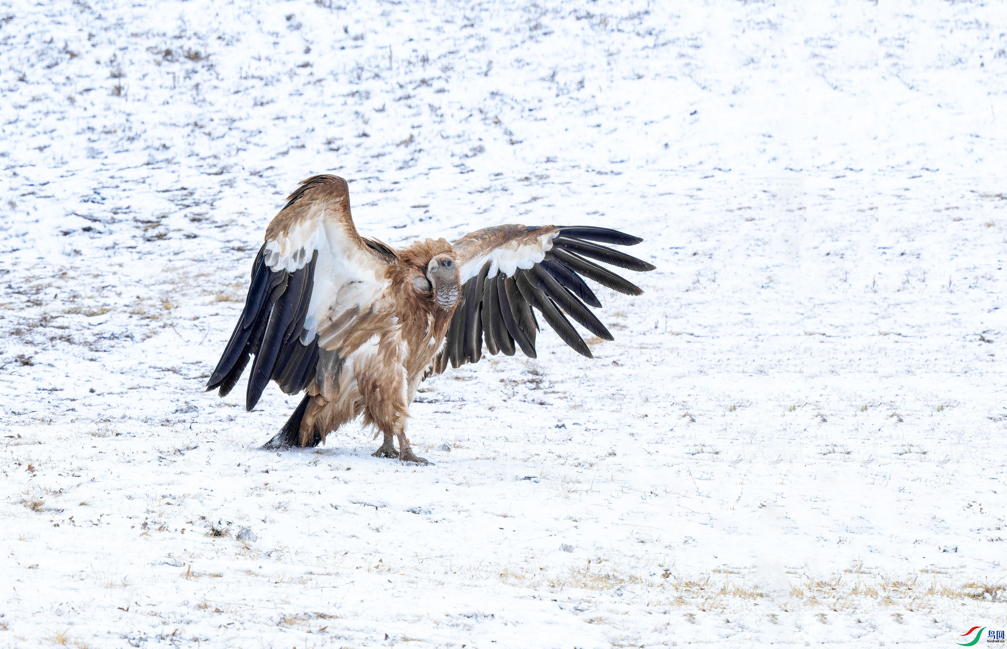 ��ɽأ�� (9)-01.jpg