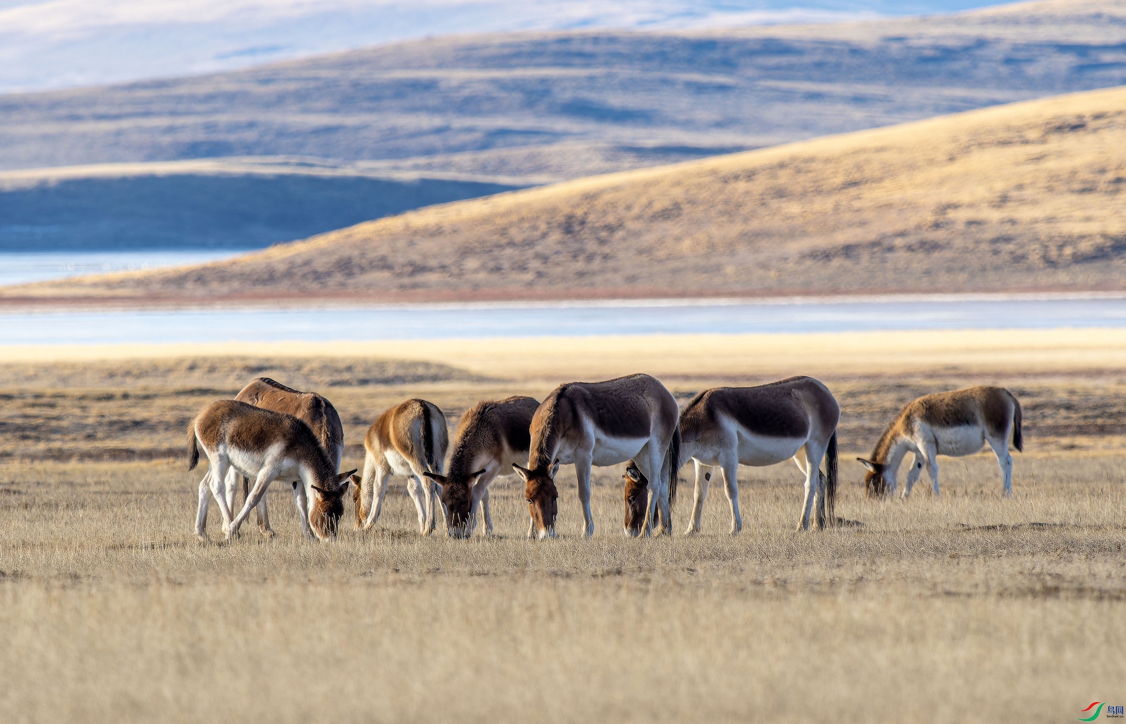 ��Ұ¿ (2)-01.jpg