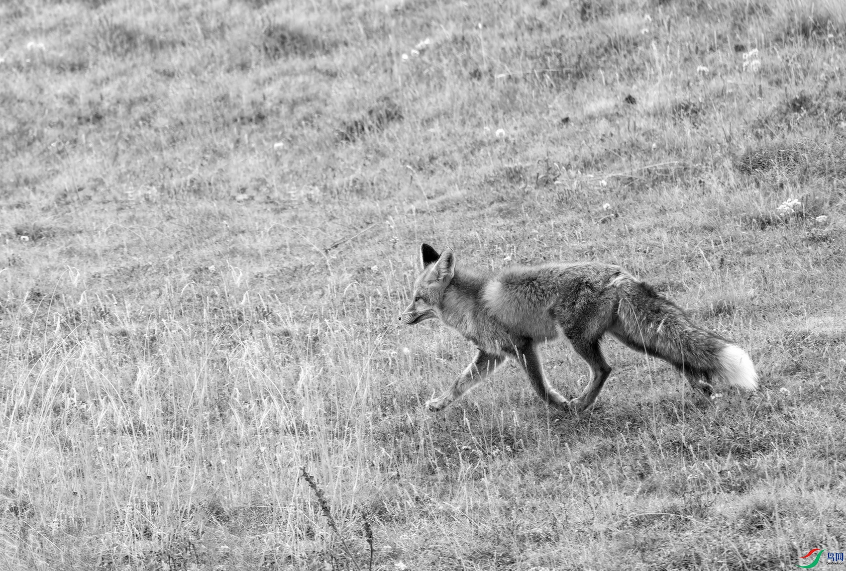 ��������� (1)-01.jpg