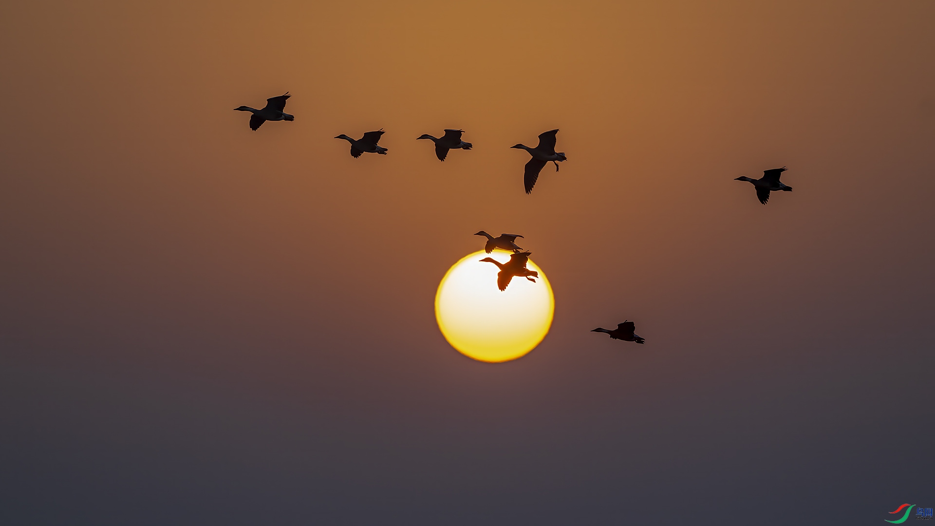 _DSC8116 ����.jpg