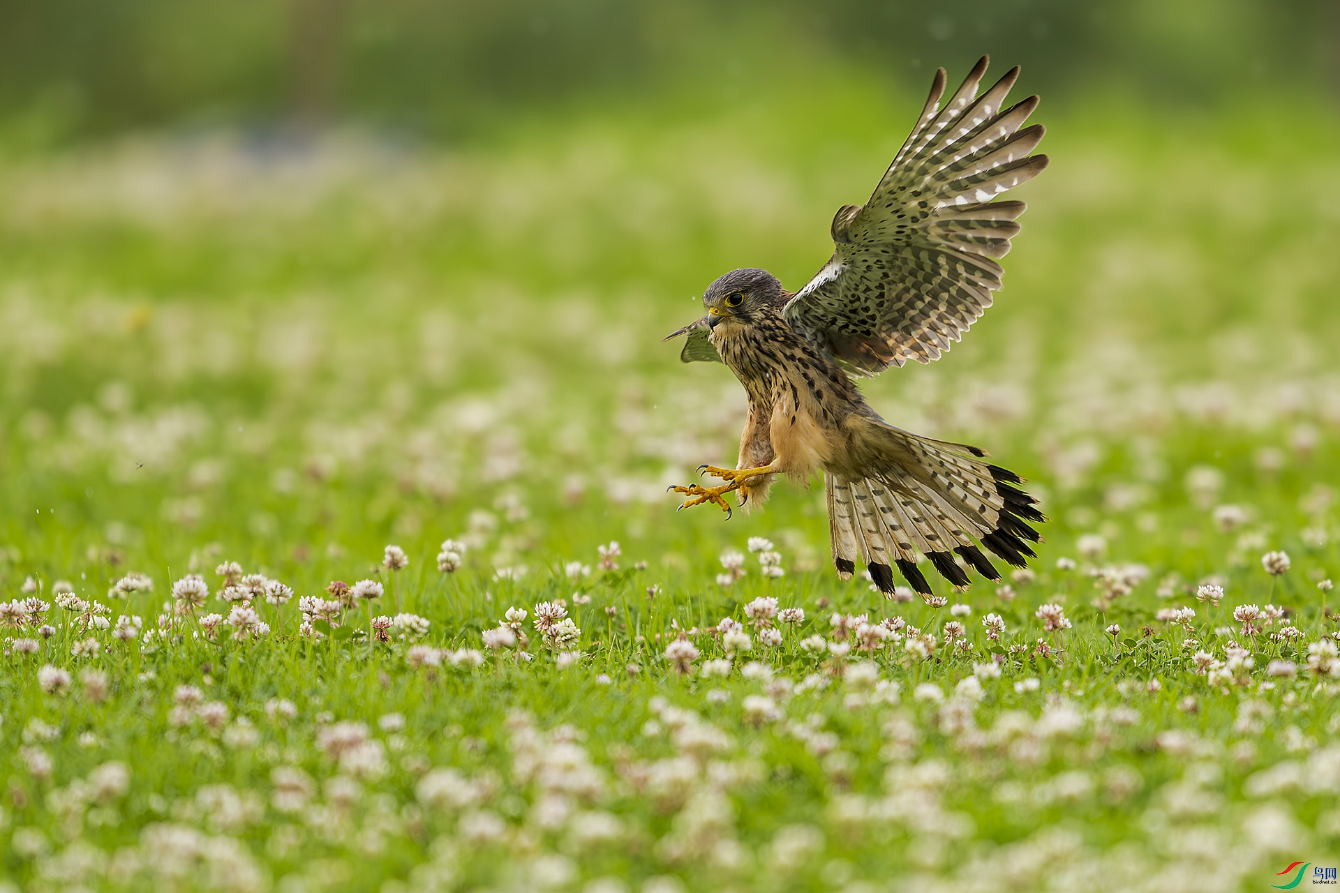 _DSC4486 ���� 2.jpg