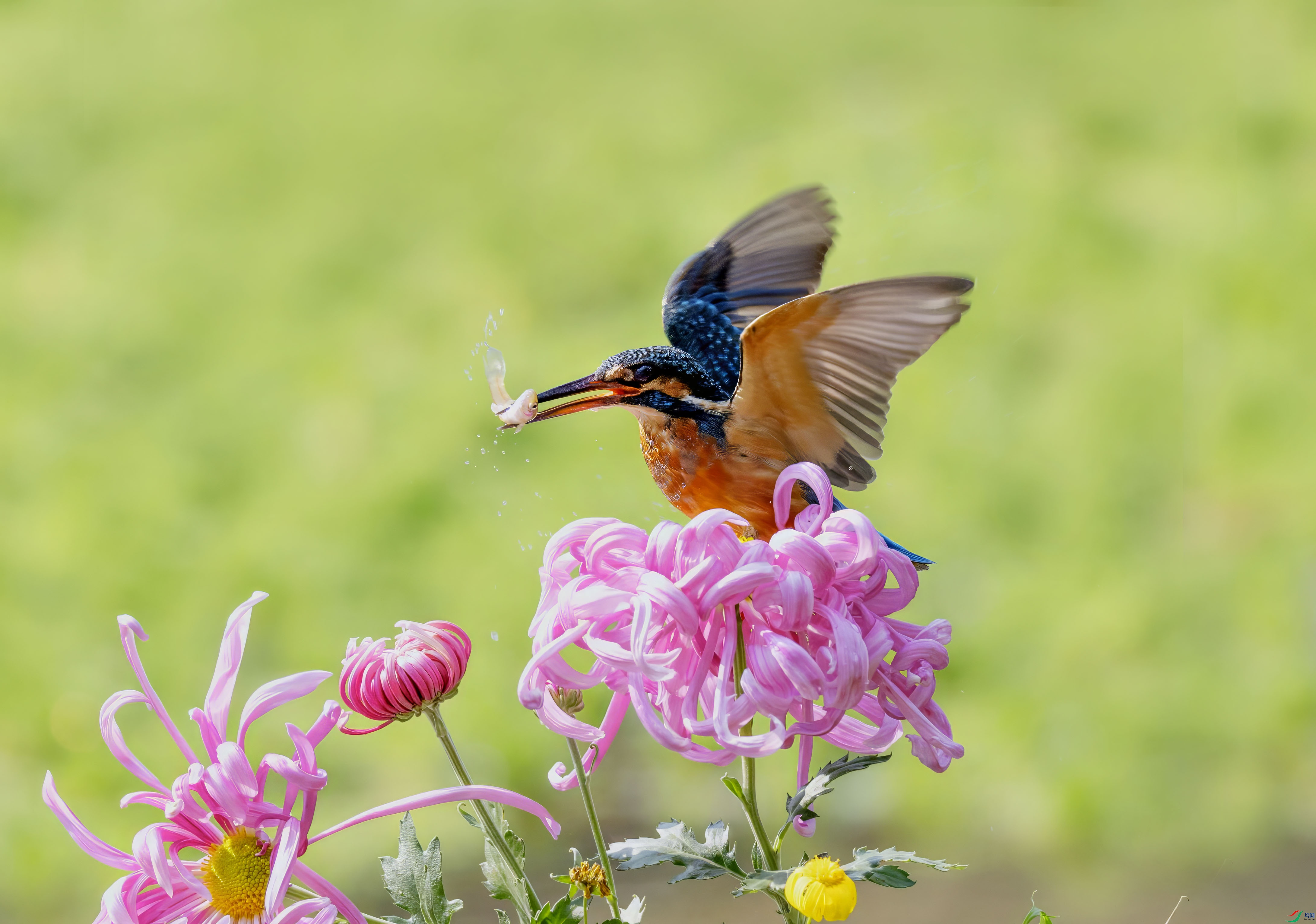 5N9A6838 ���� 2(2).jpg