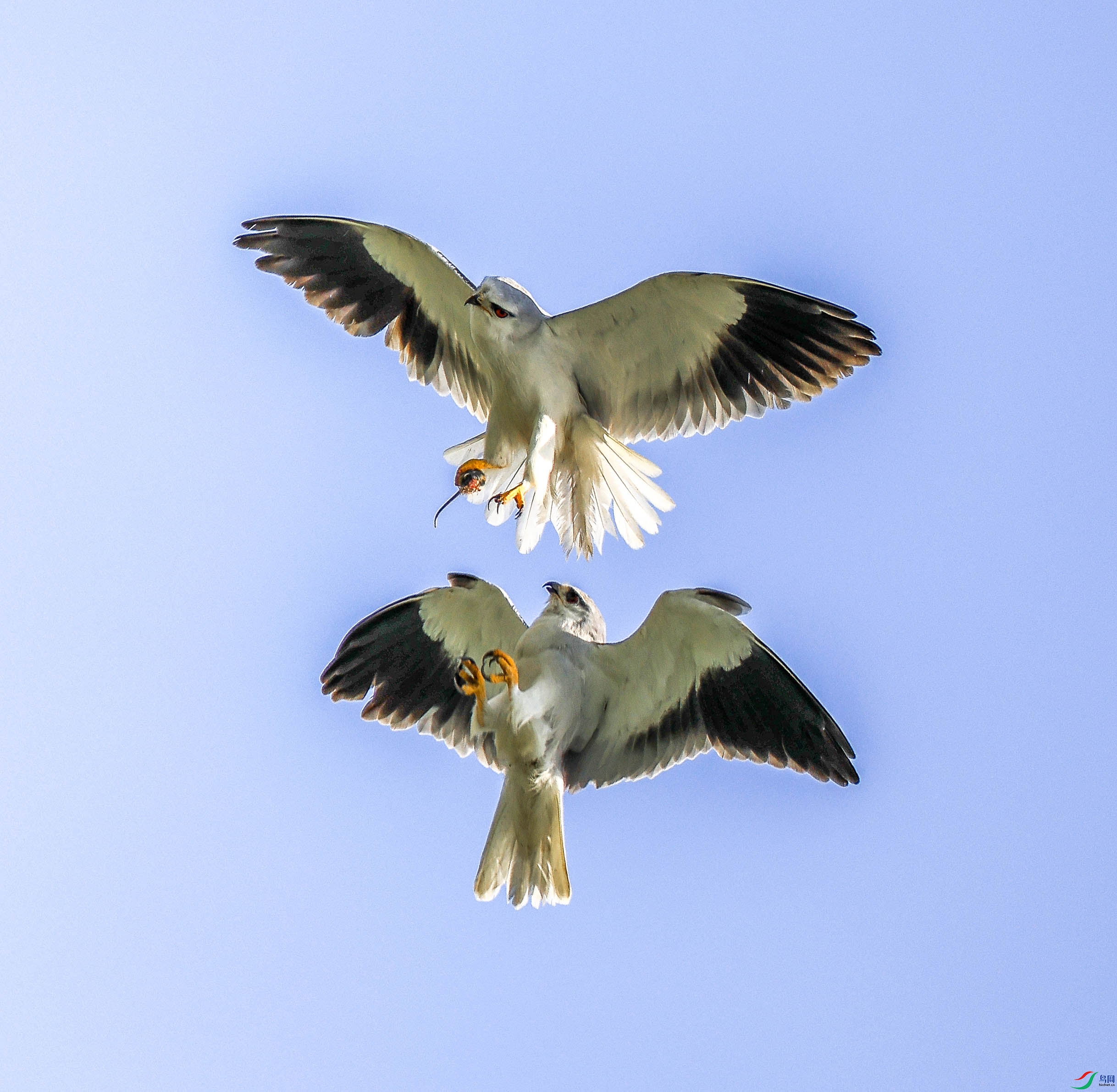 1-���н���4L2A6505 ���� 2-faw.jpg