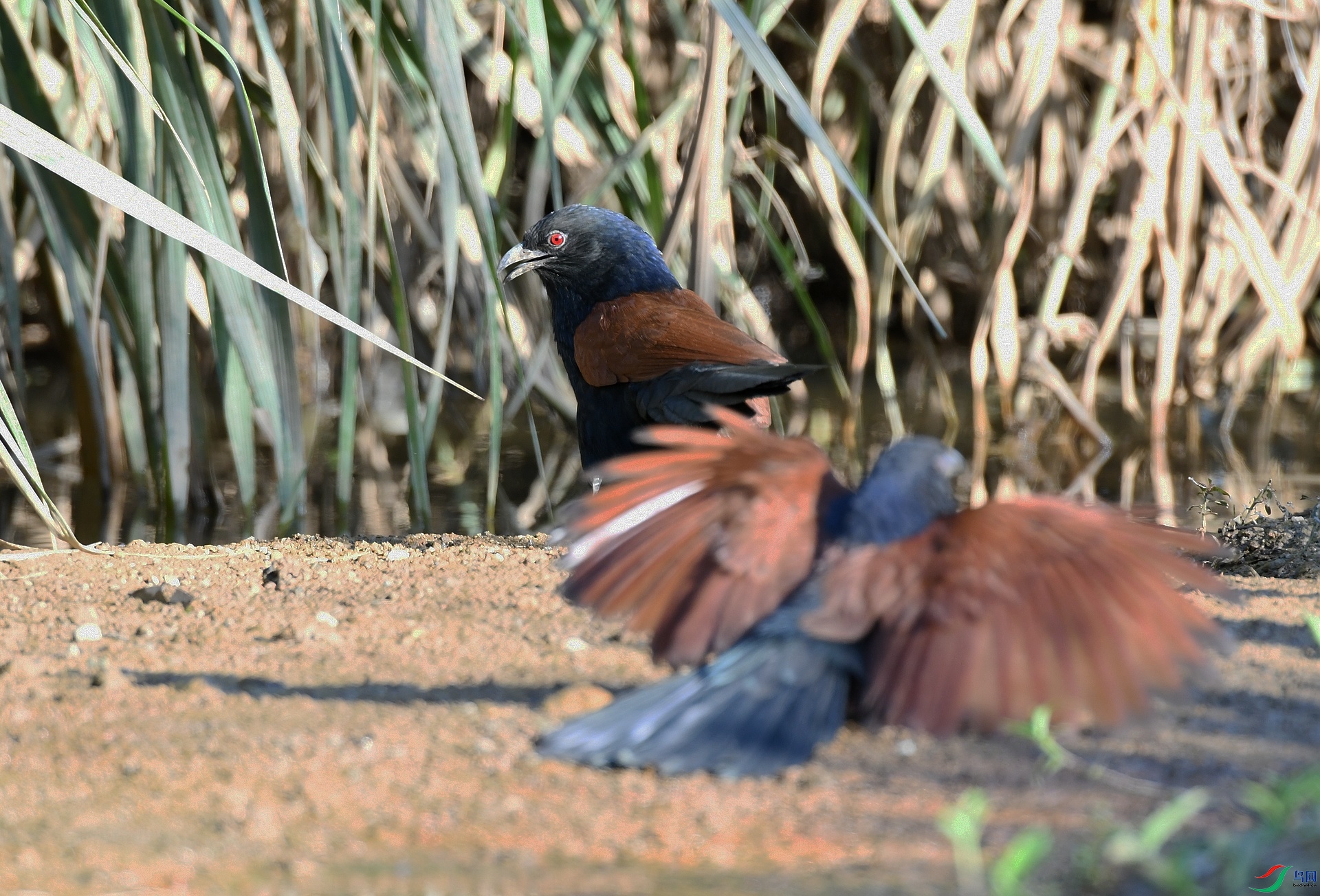 DSC_4719.jpg