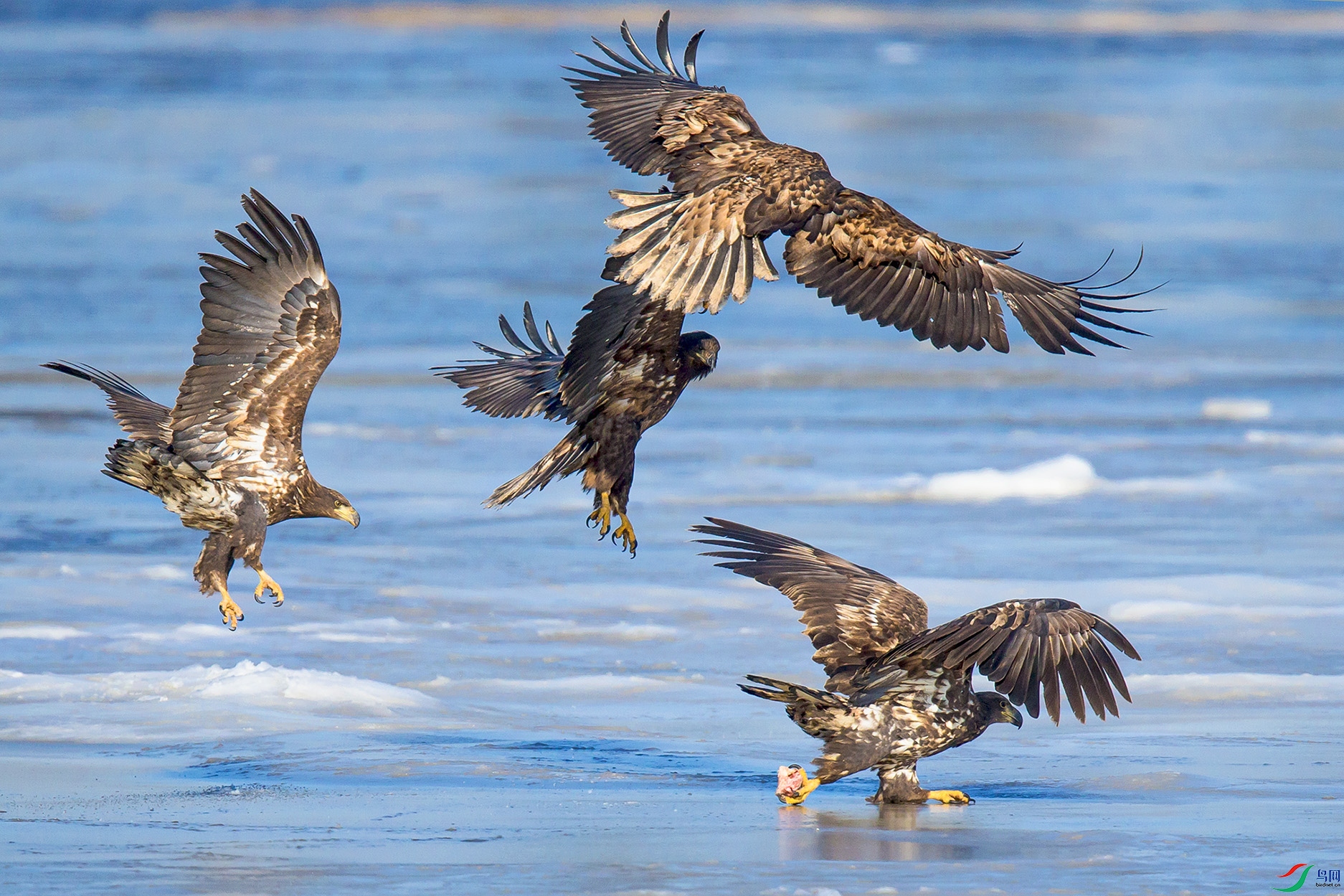 _MG_0011 ����.jpg