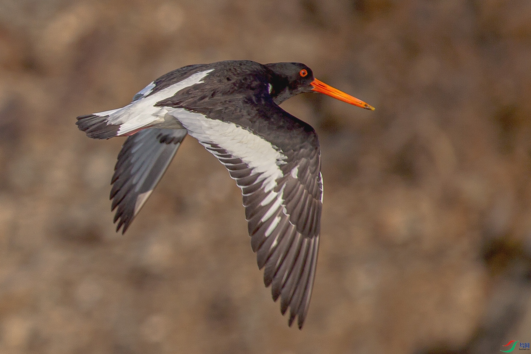 _MG_9463 ����.jpg