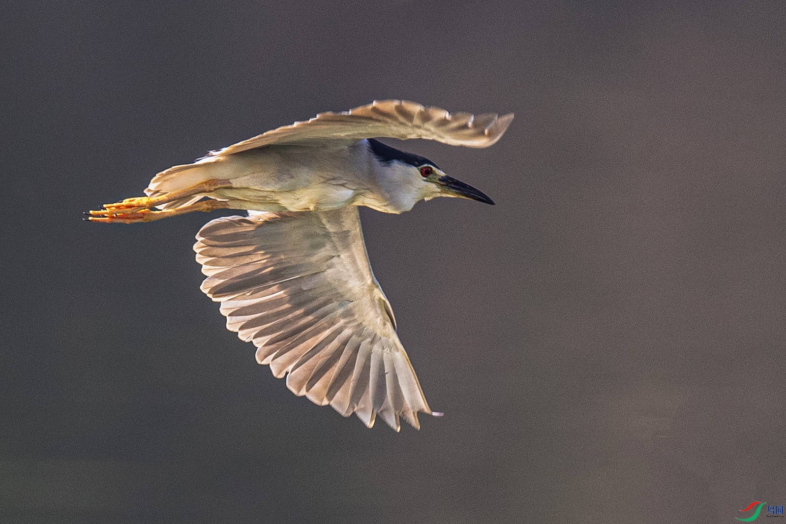 _90I2234 ����.jpg