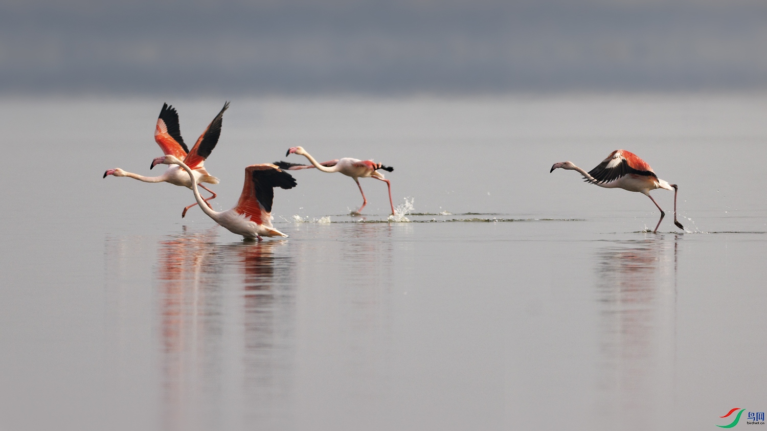 3Z6A1557 ����.jpg