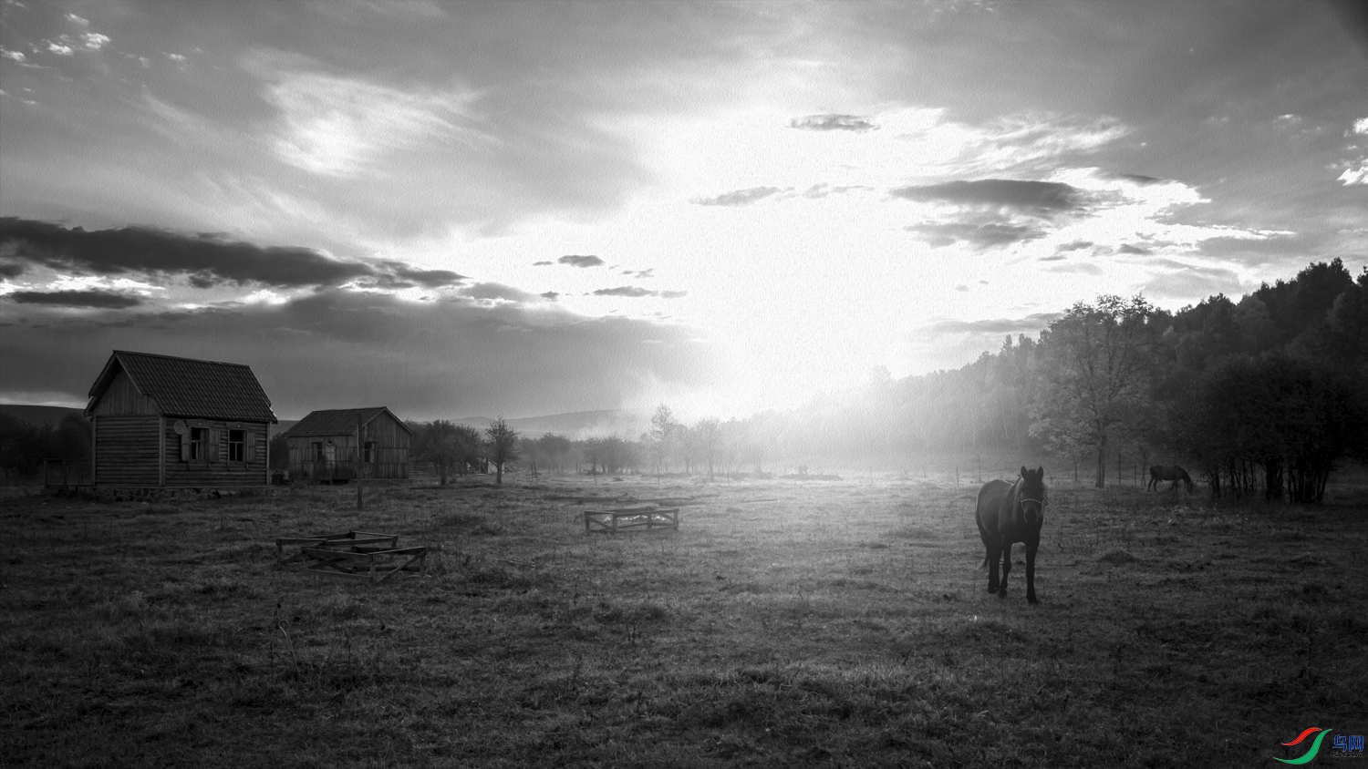 2938 ���� 2.jpg