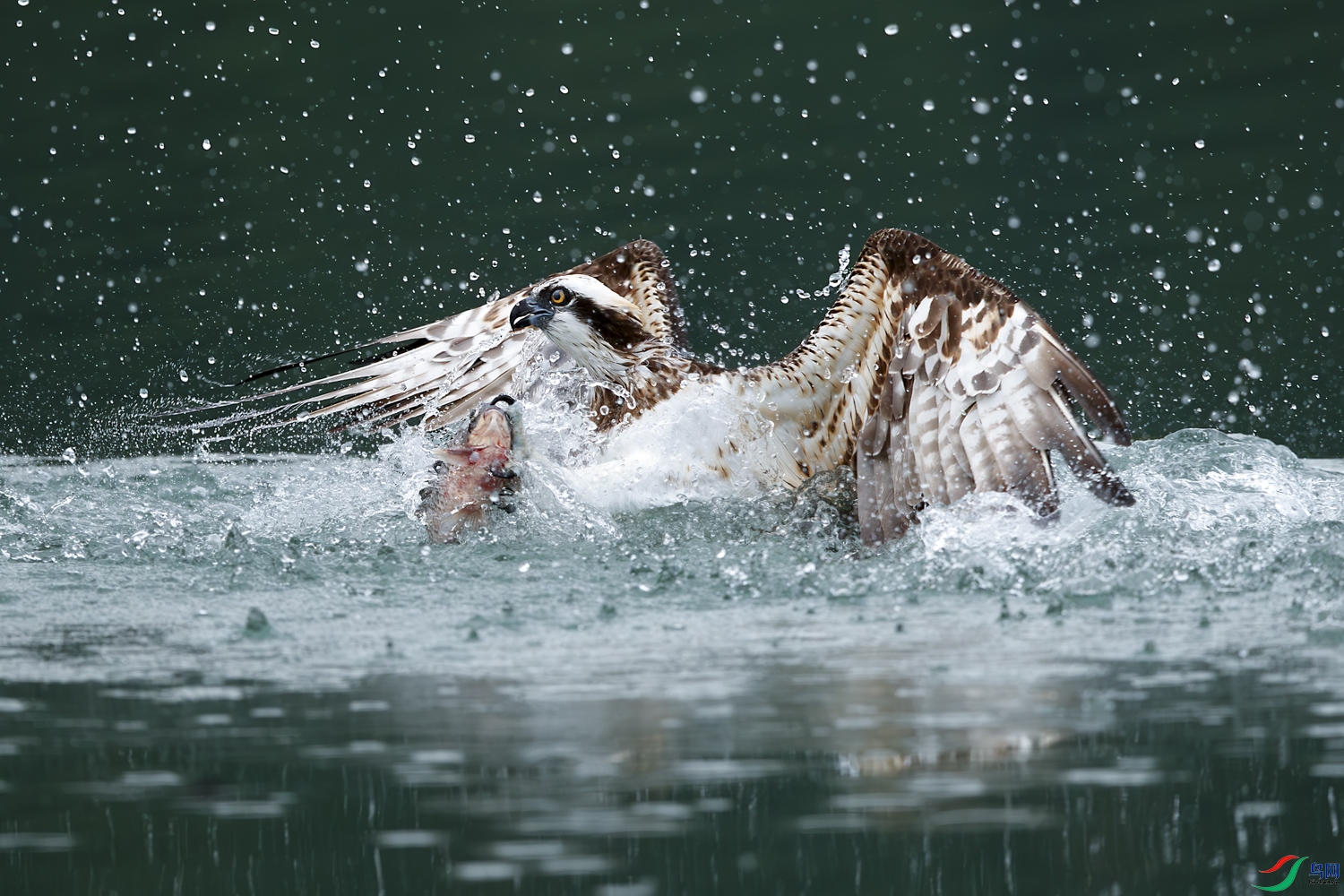 AQ9I6611-����ǿ-NR ����.jpg