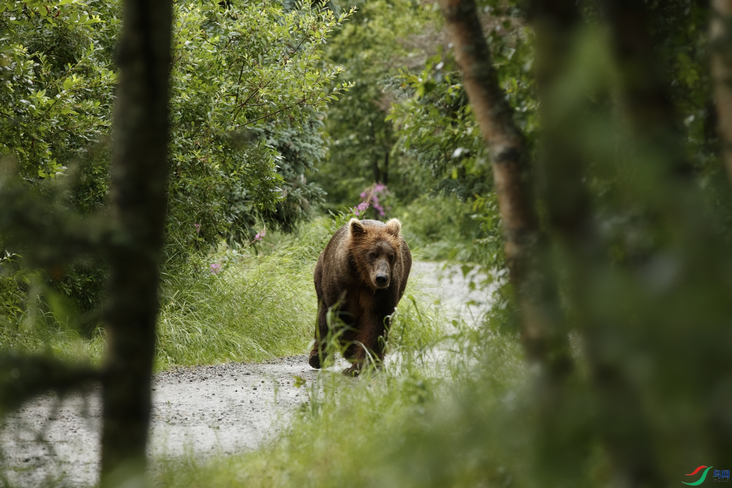 0S9A7471 ����.jpg