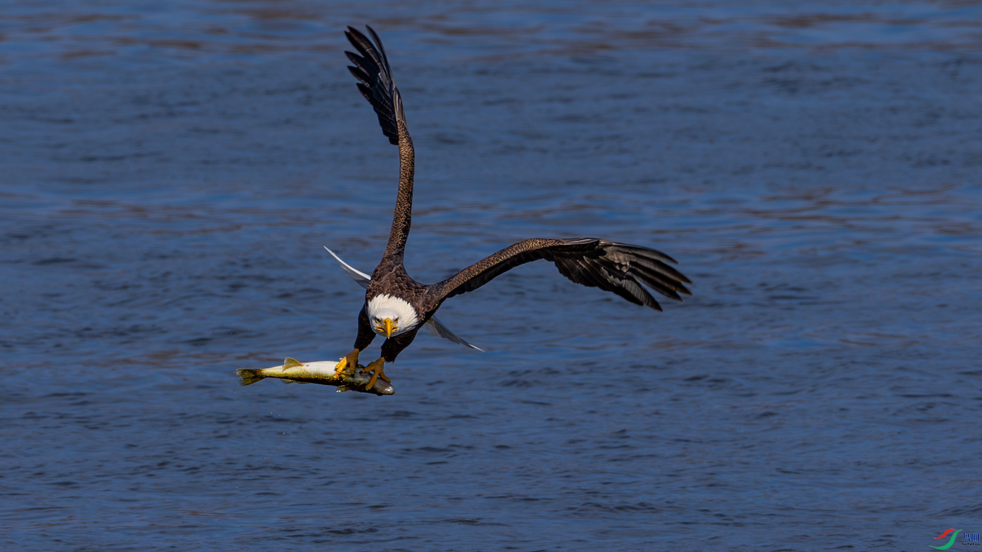 9I6A7714_1.jpg
