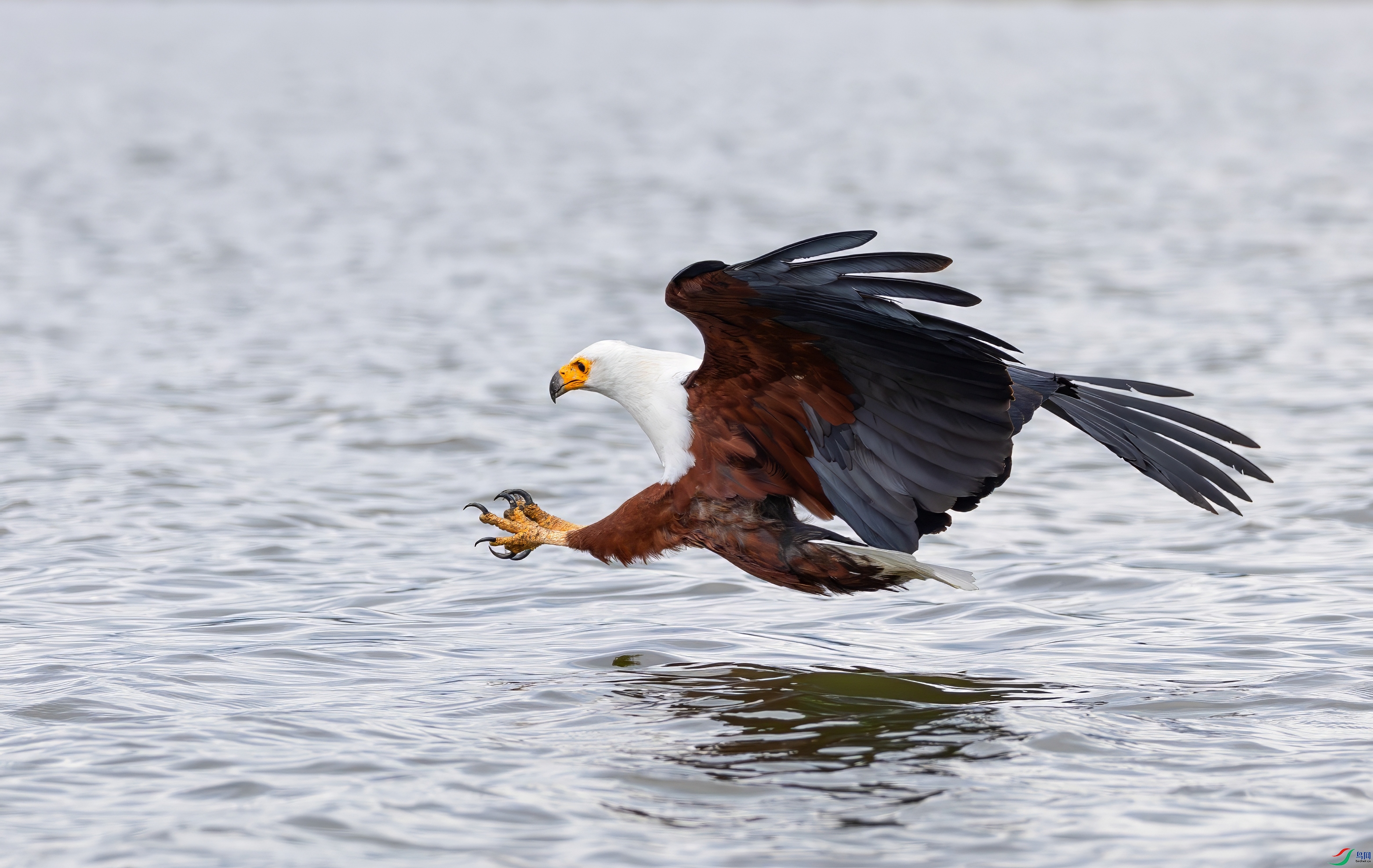 _08A7304-topaz-denoise.jpeg