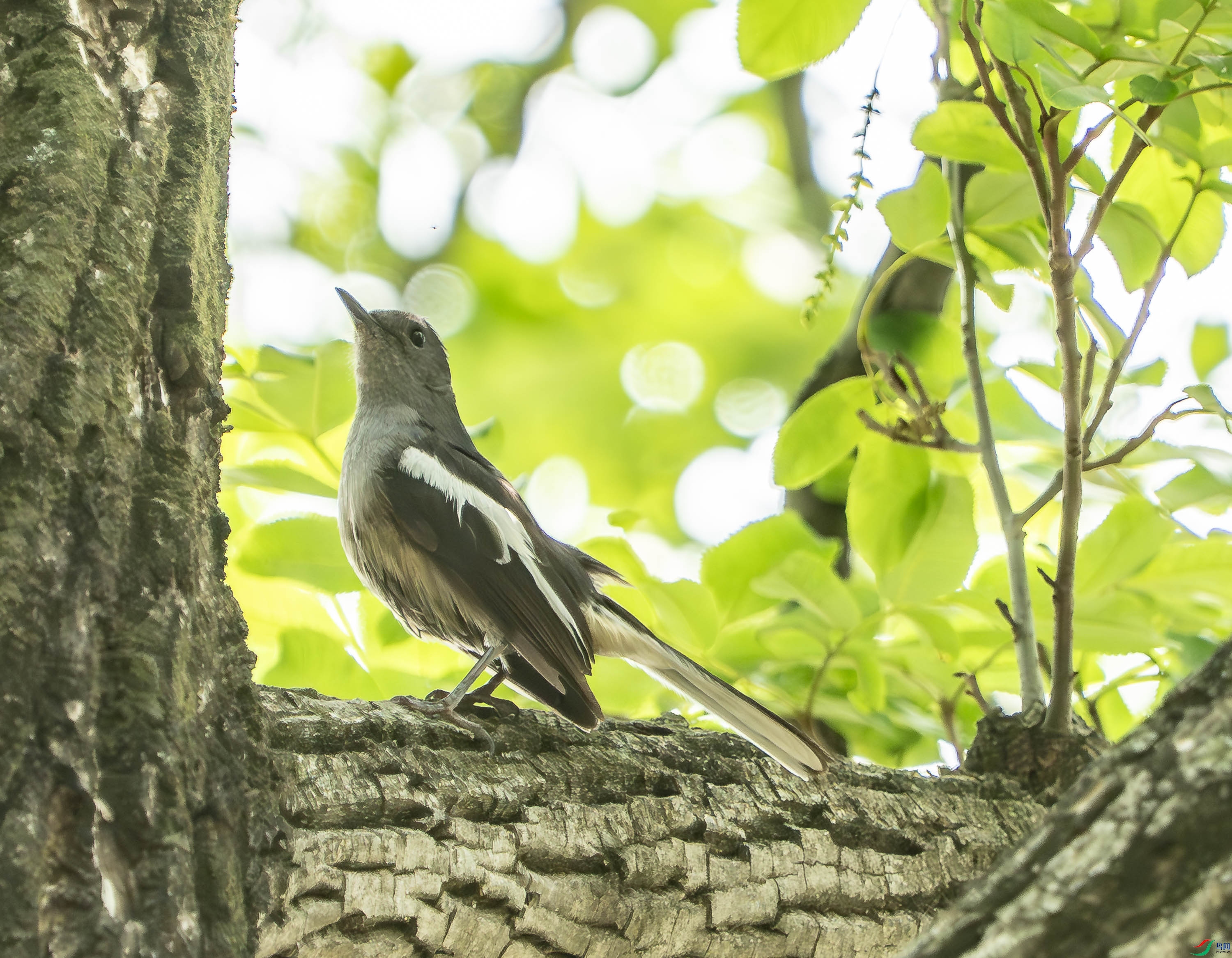 ȵ�-3.jpg