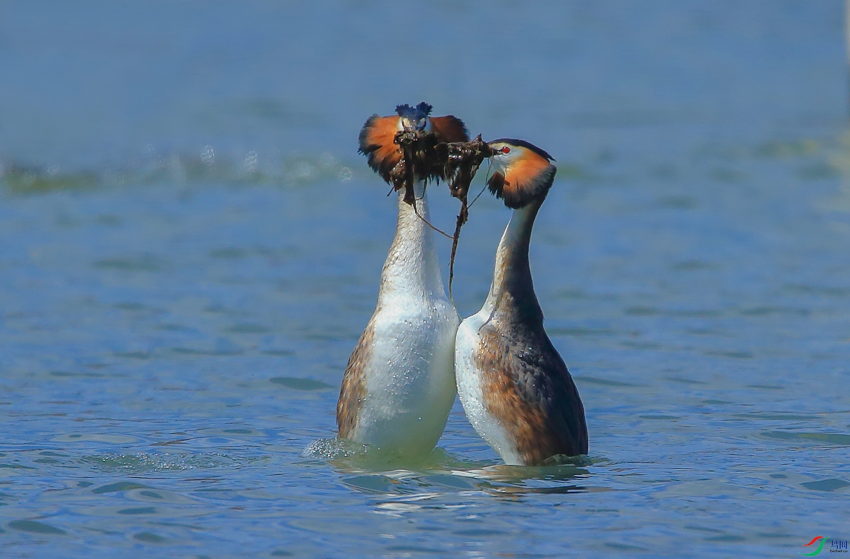 AM6Y0123 ����.jpg