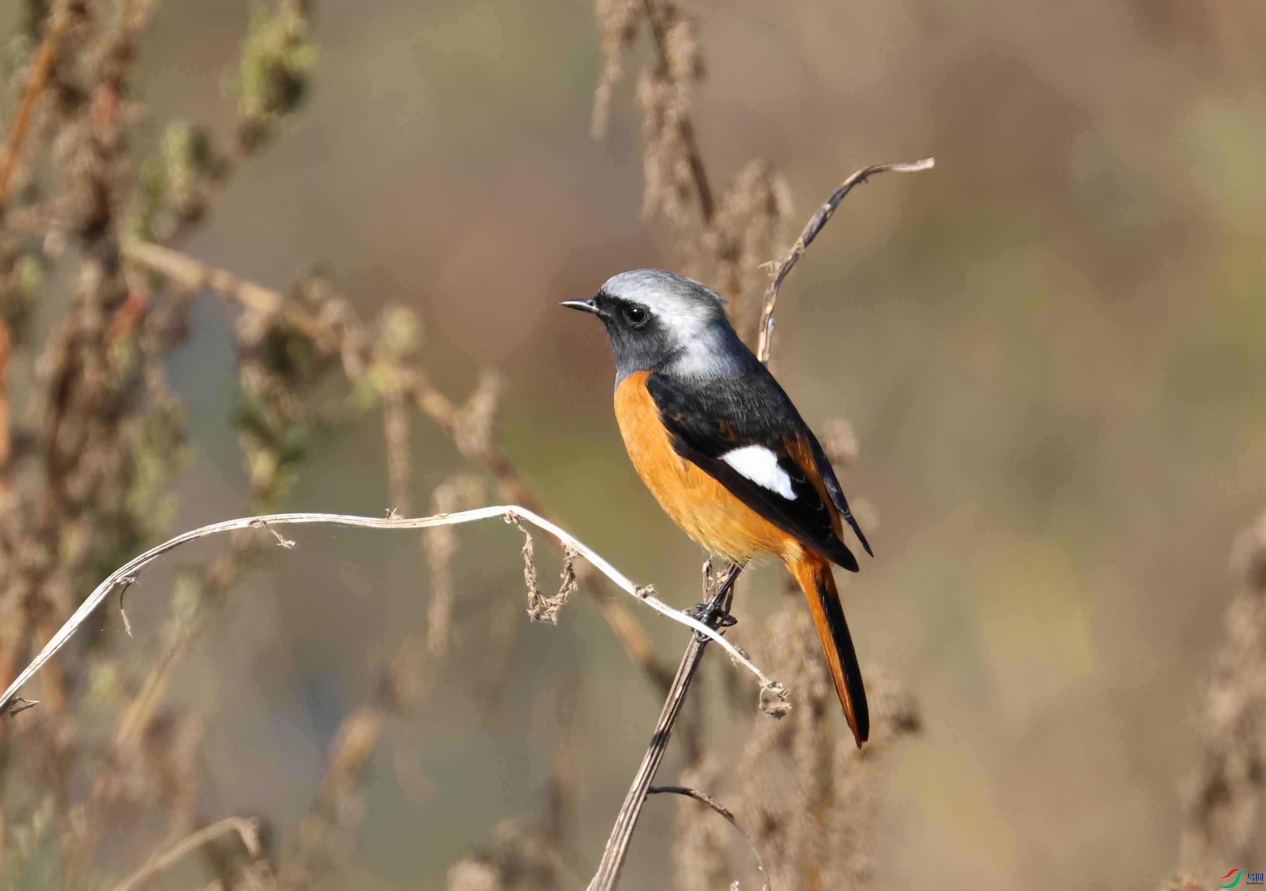 ������С �����ع� 6M4A23132.jpg