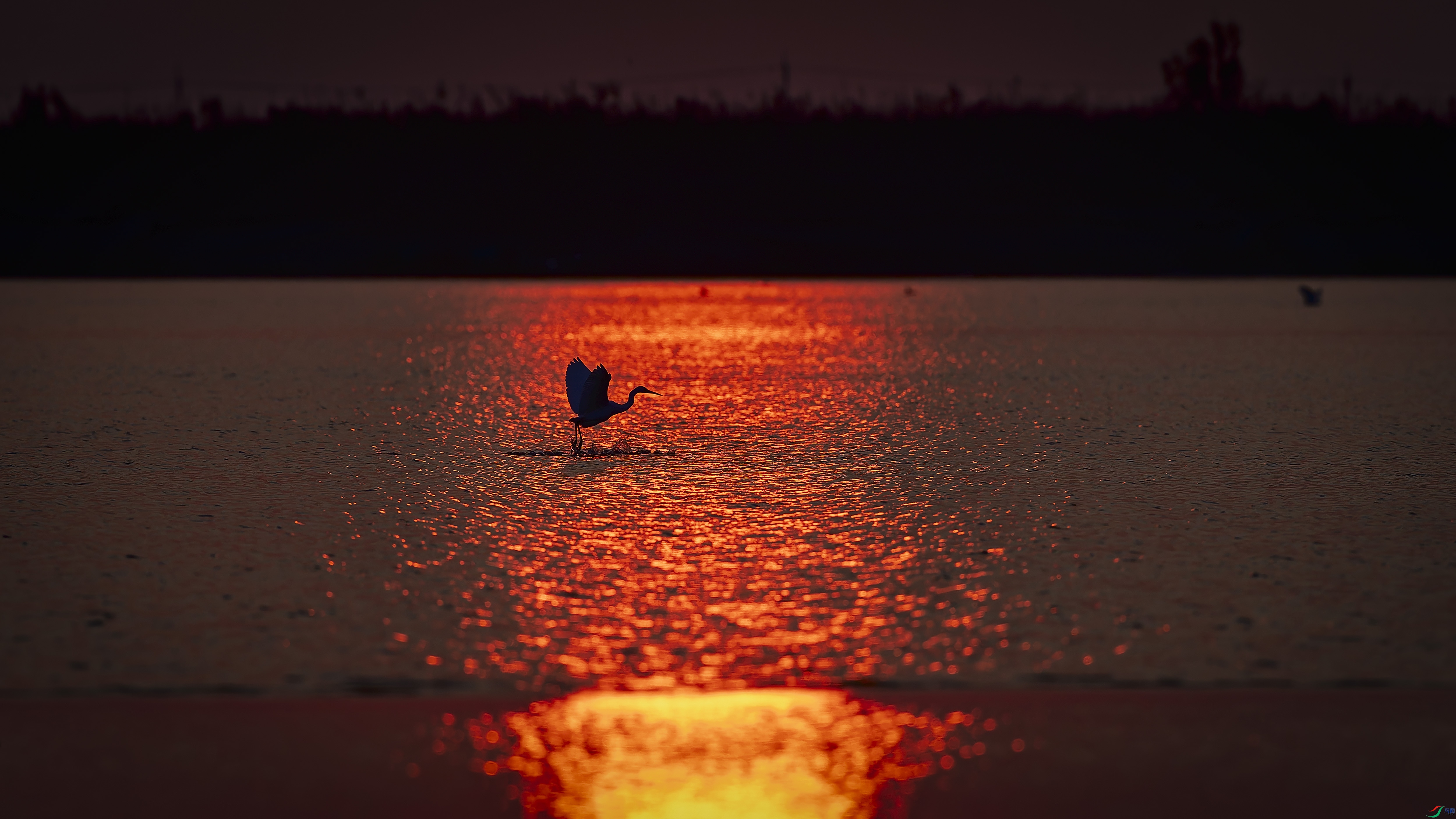 ������������