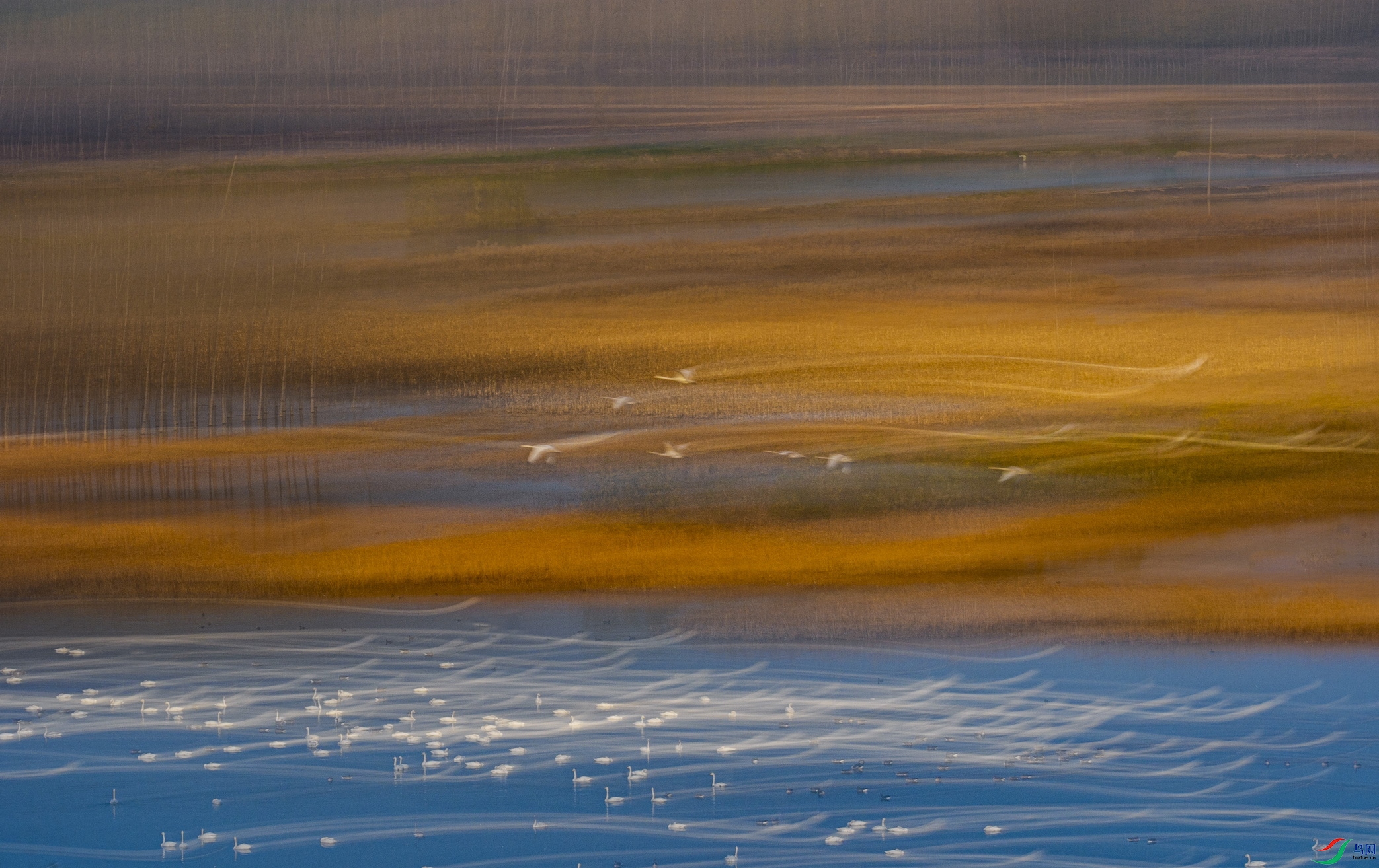 _DSC5172 ���� 2F001.jpg