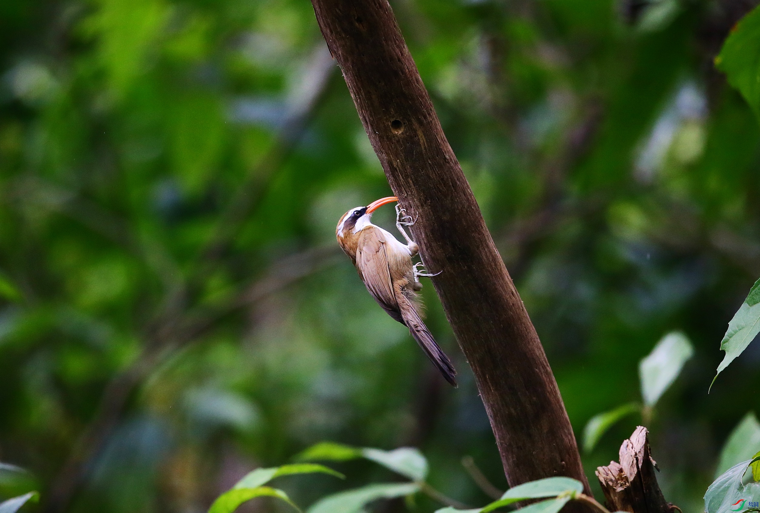 ���카���� (32).JPG