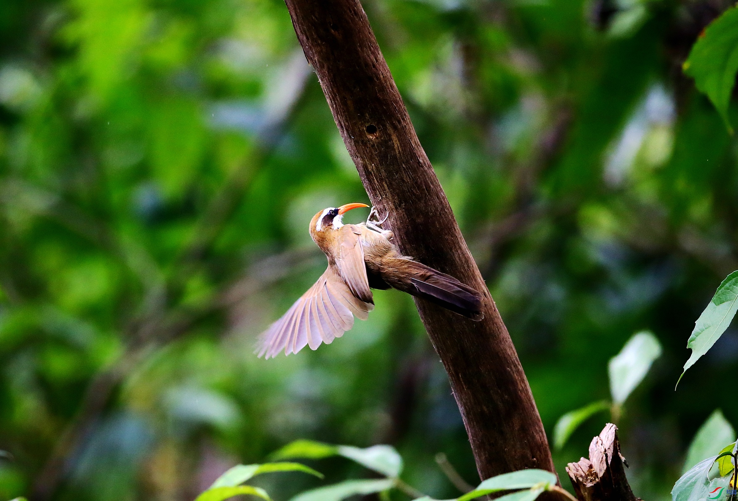 ���카���� (34).JPG