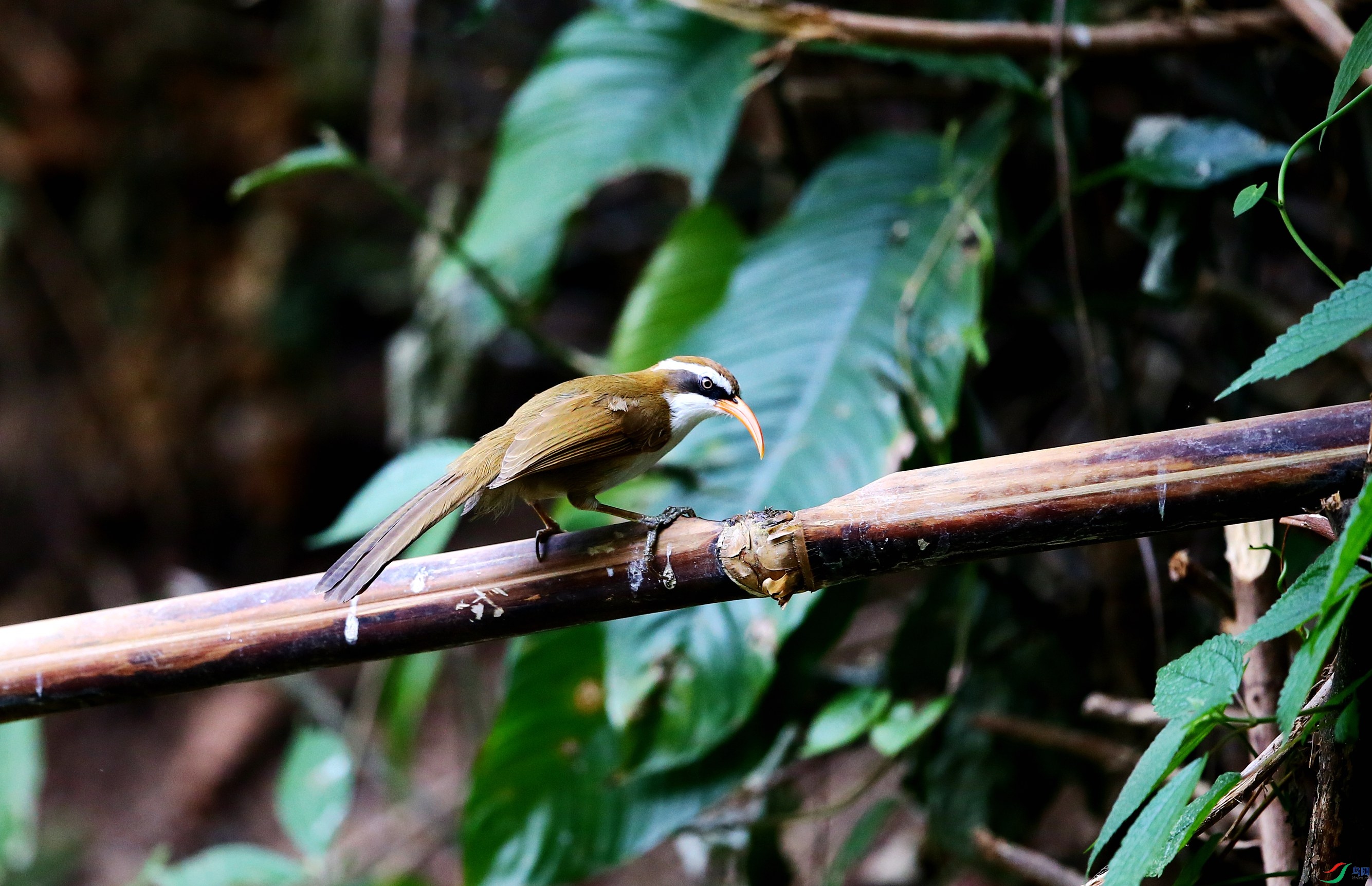 ���카���� (40).JPG