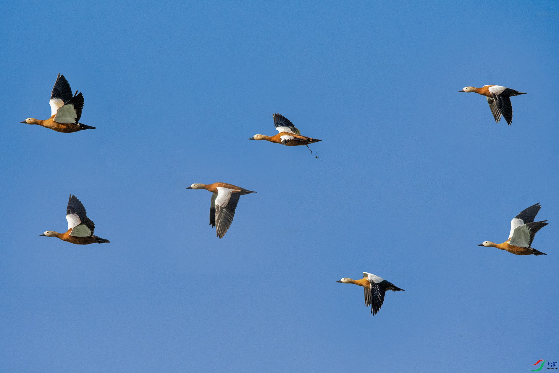 DSC_8453 ���� 3.jpg