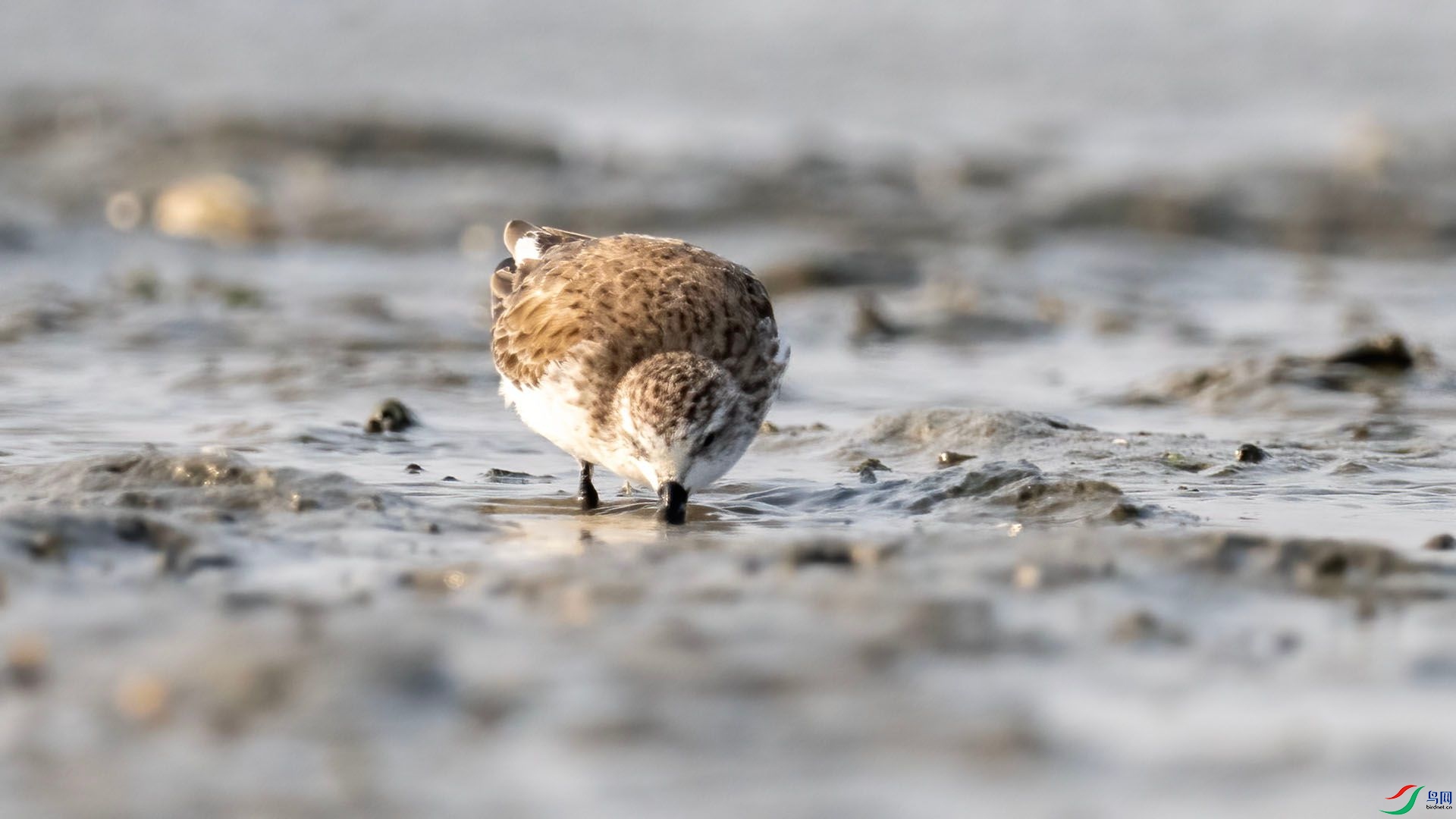 _DSC9971 ����.jpg