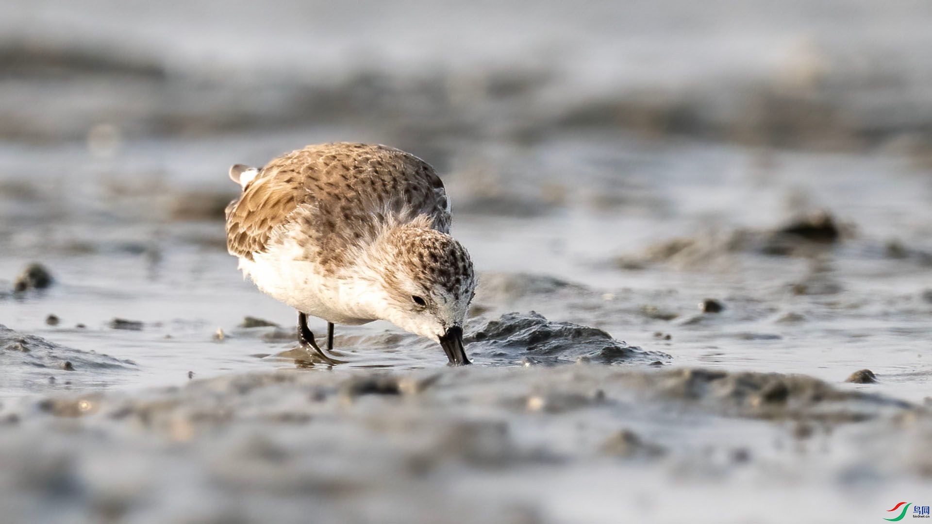 _DSC9982 ����.jpg