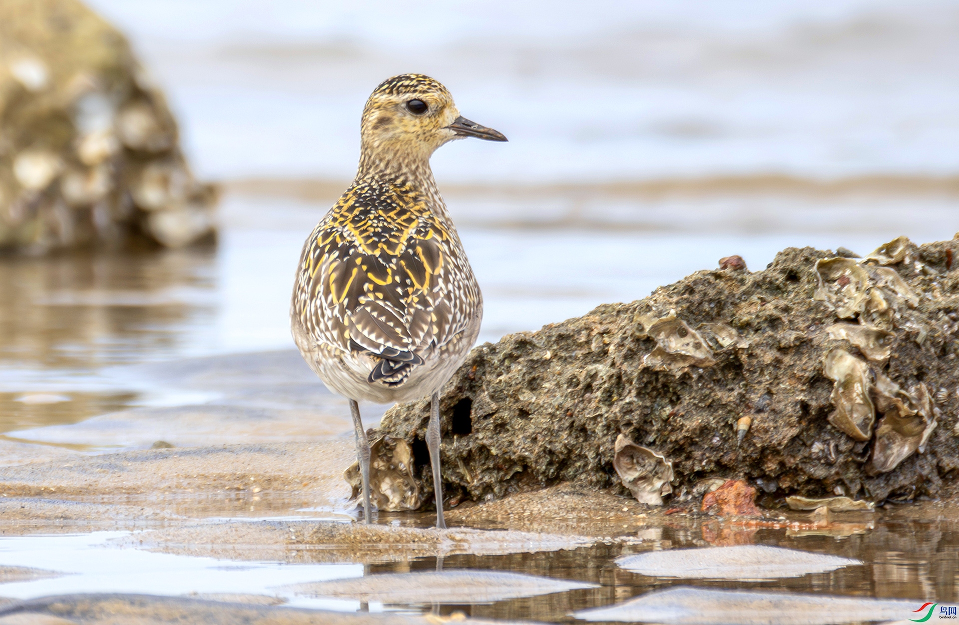 407A7227-------22  �������͵Ľ���a.jpg