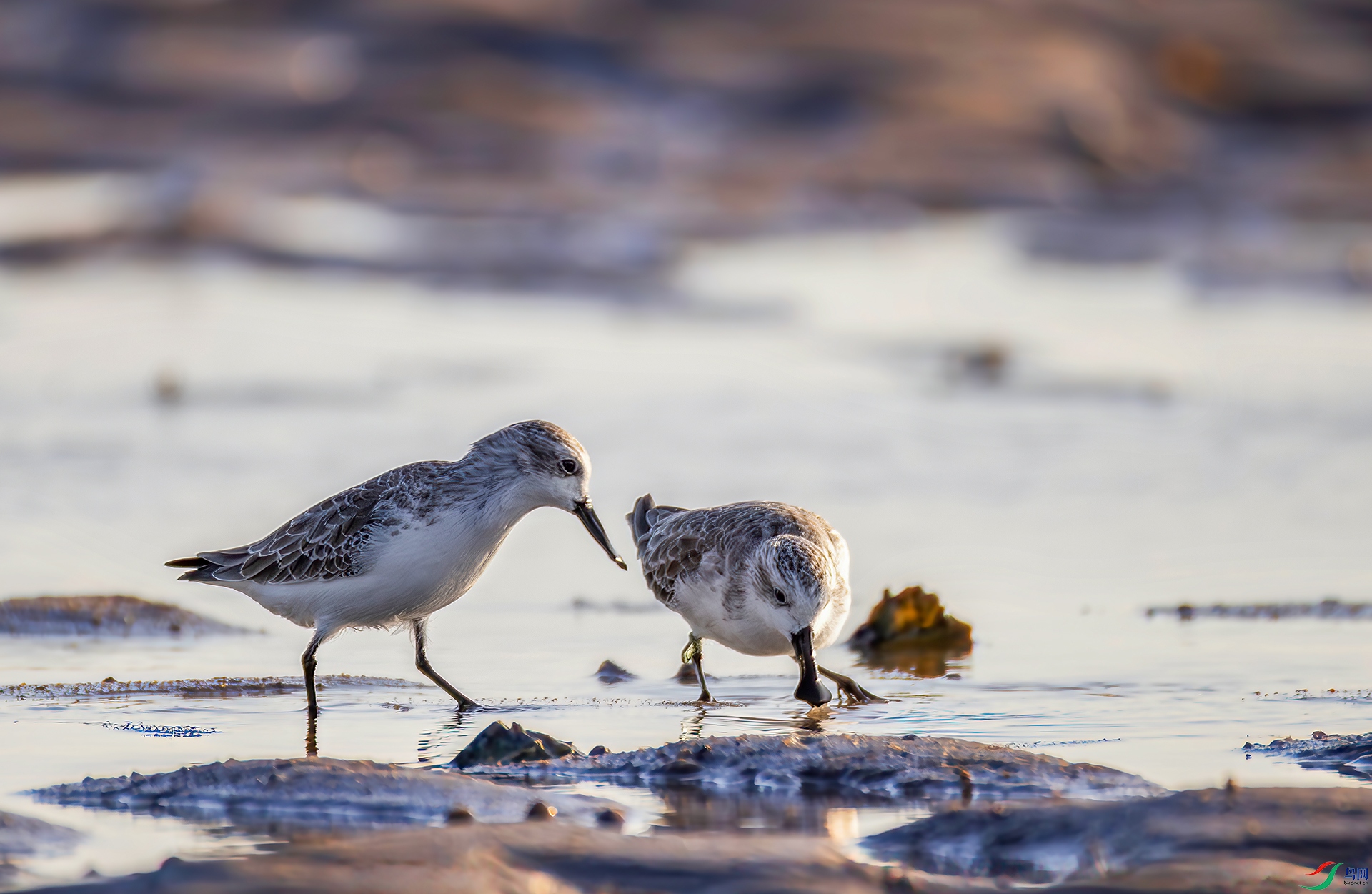 407A0086-----22.  .jpg