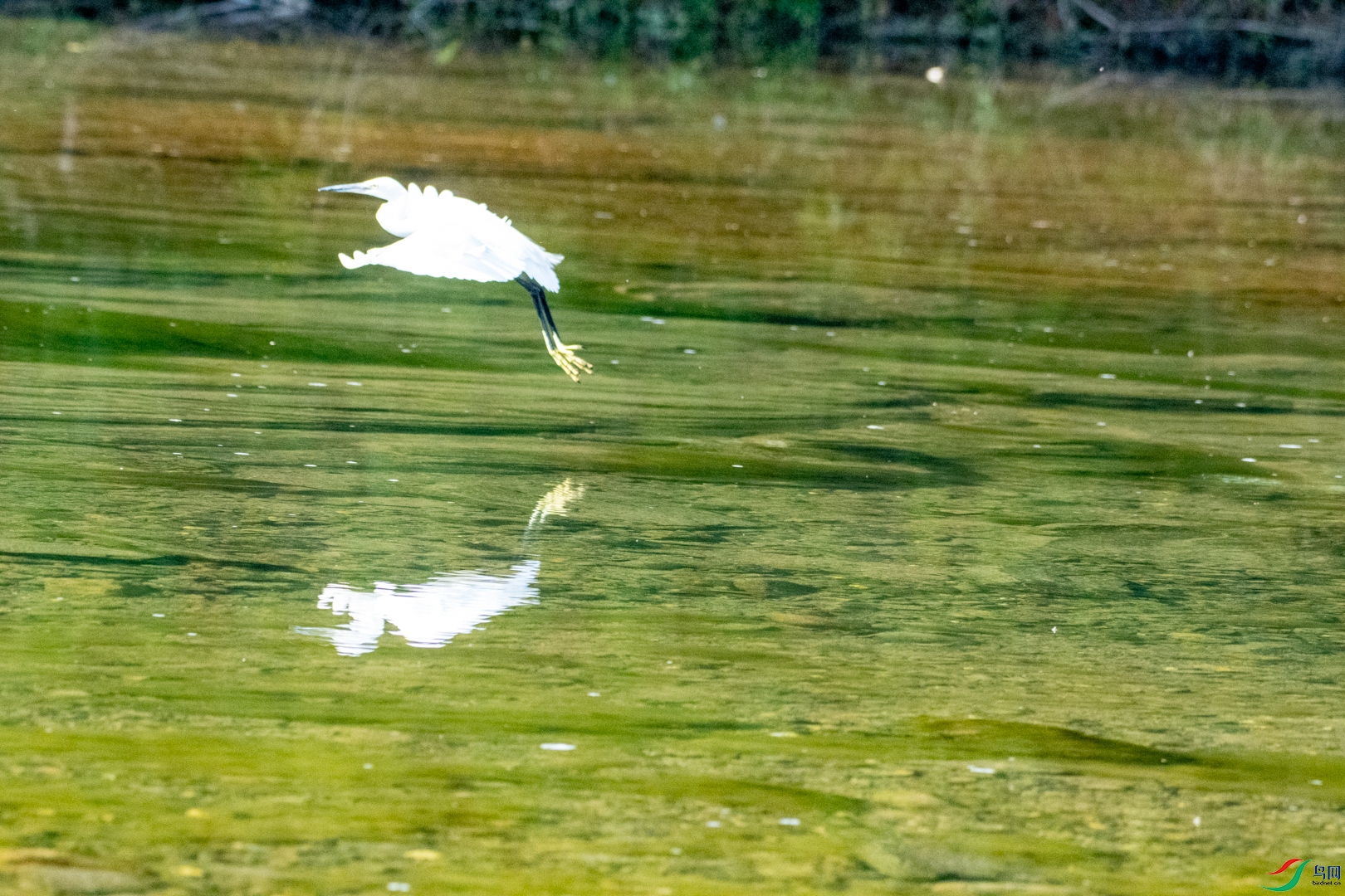 DSC_3008.jpg