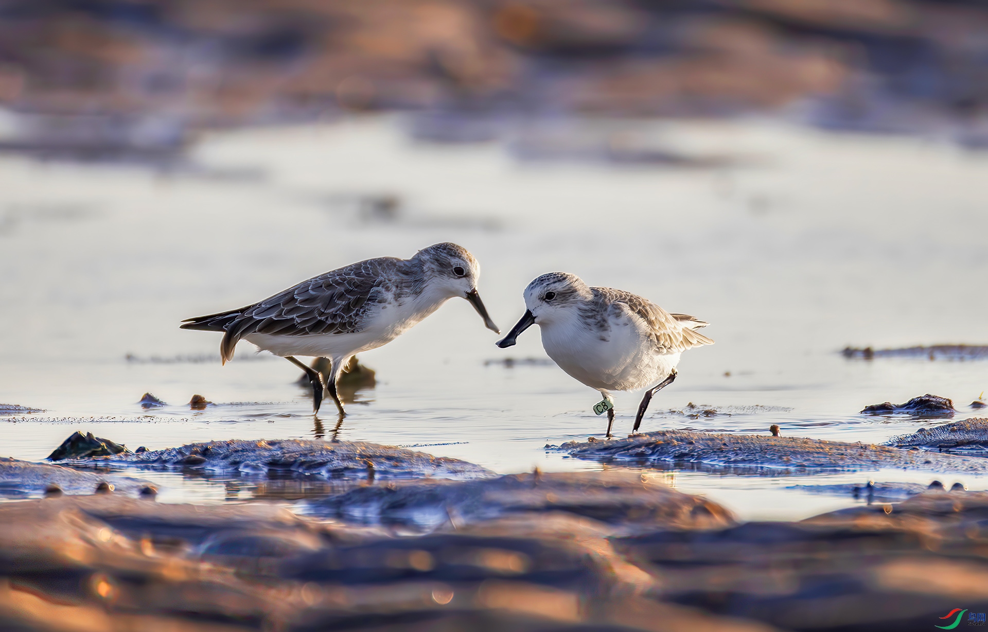 407A0118-----22  .jpg