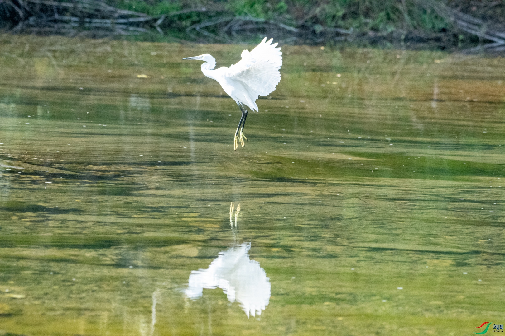 DSC_3012.jpg