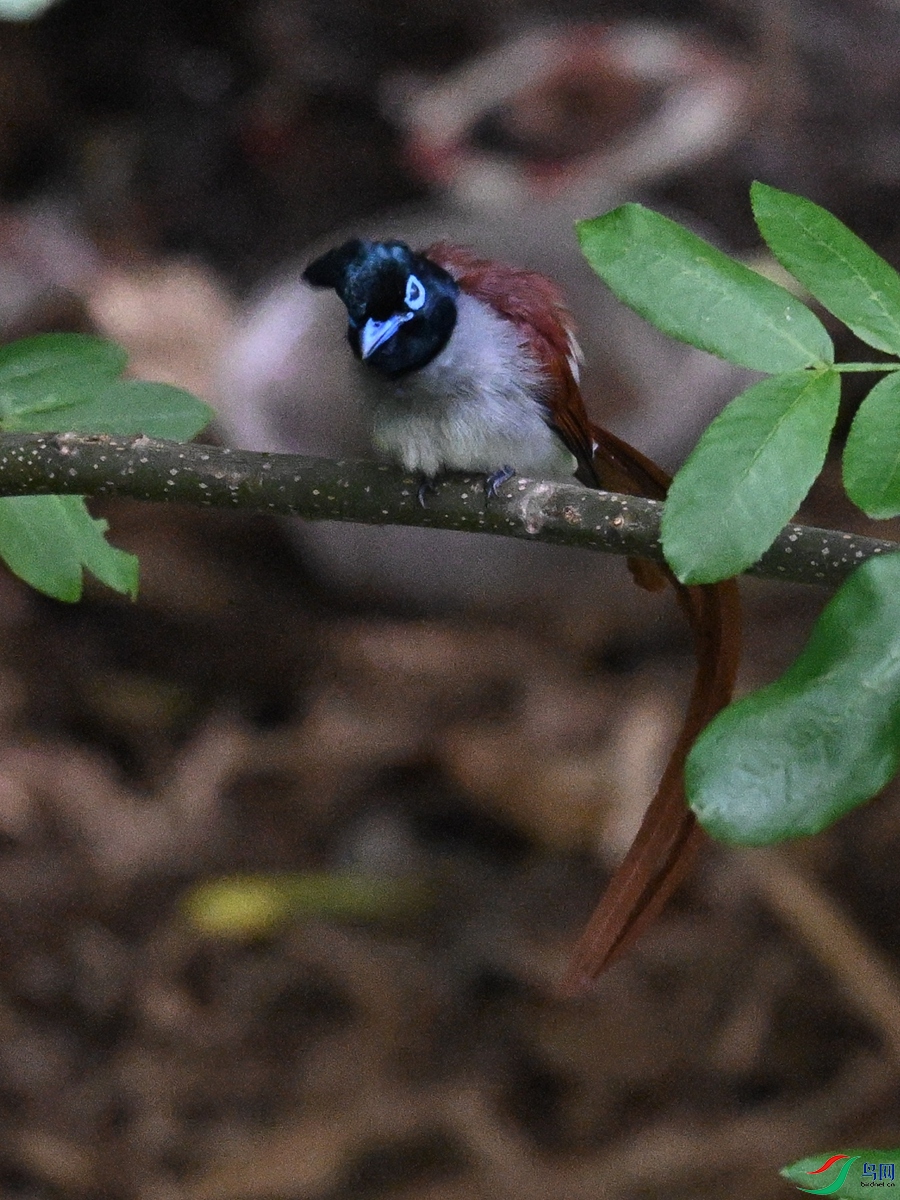 DSC_8151.JPG