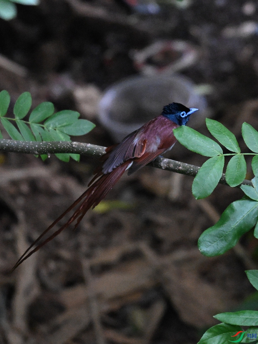 DSC_8173.JPG
